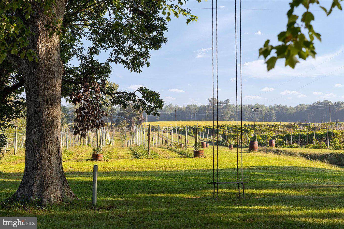 667 HUSTLE RD, HUSTLE, Virginia 22476, 6 Bedrooms Bedrooms, ,3 BathroomsBathrooms,Residential,For Sale,667 HUSTLE RD,VAES2001996 MLS # VAES2001996