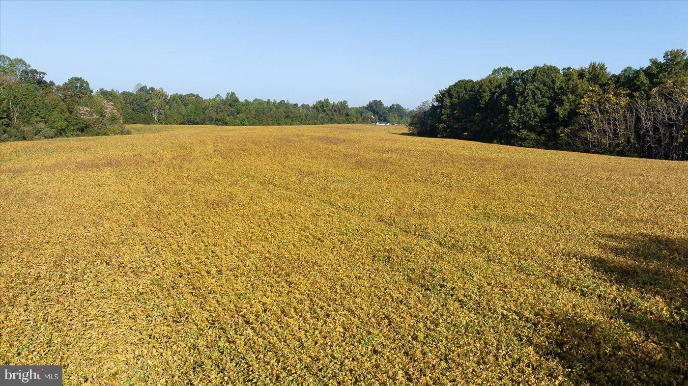 667 HUSTLE RD, HUSTLE, Virginia 22476, 6 Bedrooms Bedrooms, ,3 BathroomsBathrooms,Residential,For Sale,667 HUSTLE RD,VAES2001996 MLS # VAES2001996