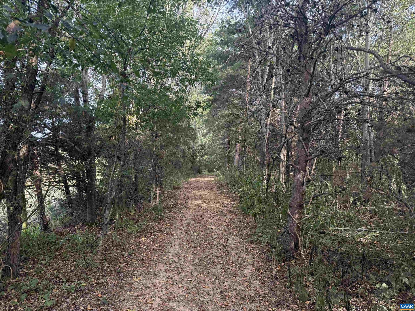 27233 HORSESHOE RD, CULPEPER, Virginia 22701, 4 Bedrooms Bedrooms, ,3 BathroomsBathrooms,Residential,For Sale,27233 HORSESHOE RD,668488 MLS # 668488