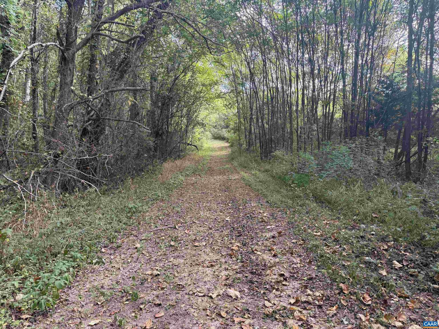 27233 HORSESHOE RD, CULPEPER, Virginia 22701, 4 Bedrooms Bedrooms, ,3 BathroomsBathrooms,Residential,For Sale,27233 HORSESHOE RD,668488 MLS # 668488