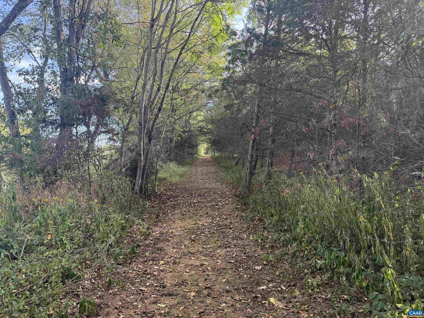 27233 HORSESHOE RD, CULPEPER, Virginia 22701, 4 Bedrooms Bedrooms, ,3 BathroomsBathrooms,Residential,For Sale,27233 HORSESHOE RD,668488 MLS # 668488