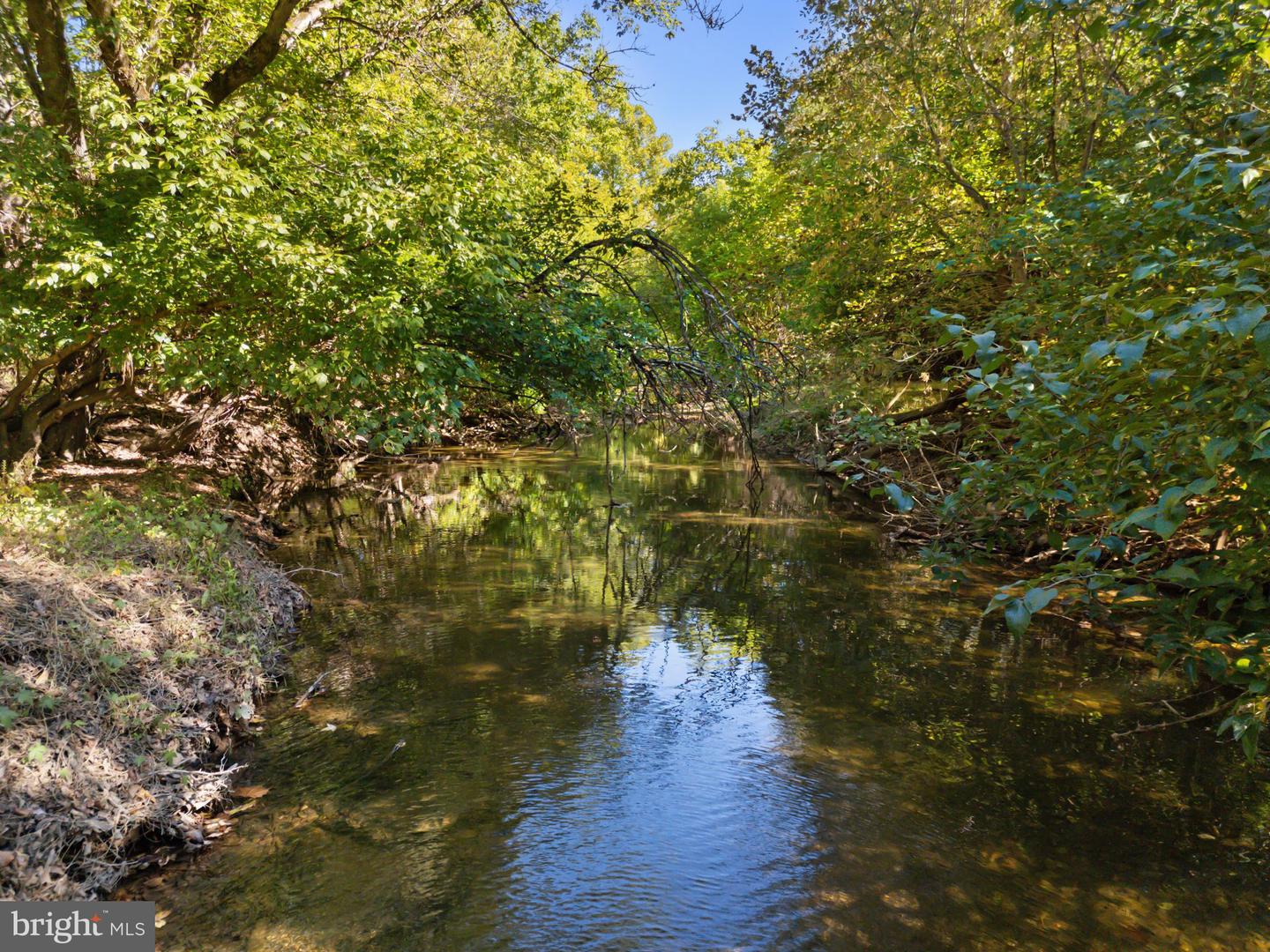 1077 GINNS RD, BOYCE, Virginia 22620, 6 Bedrooms Bedrooms, ,4 BathroomsBathrooms,Residential,For Sale,1077 GINNS RD,VACL2006022 MLS # VACL2006022 1077 GINNS RD, BOYCE, Virginia 22620, 6 Bedrooms Bedrooms, ,4 BathroomsBathrooms,Residential,For Sale,1077 GINNS RD,VACL2006022 MLS # VACL2006022