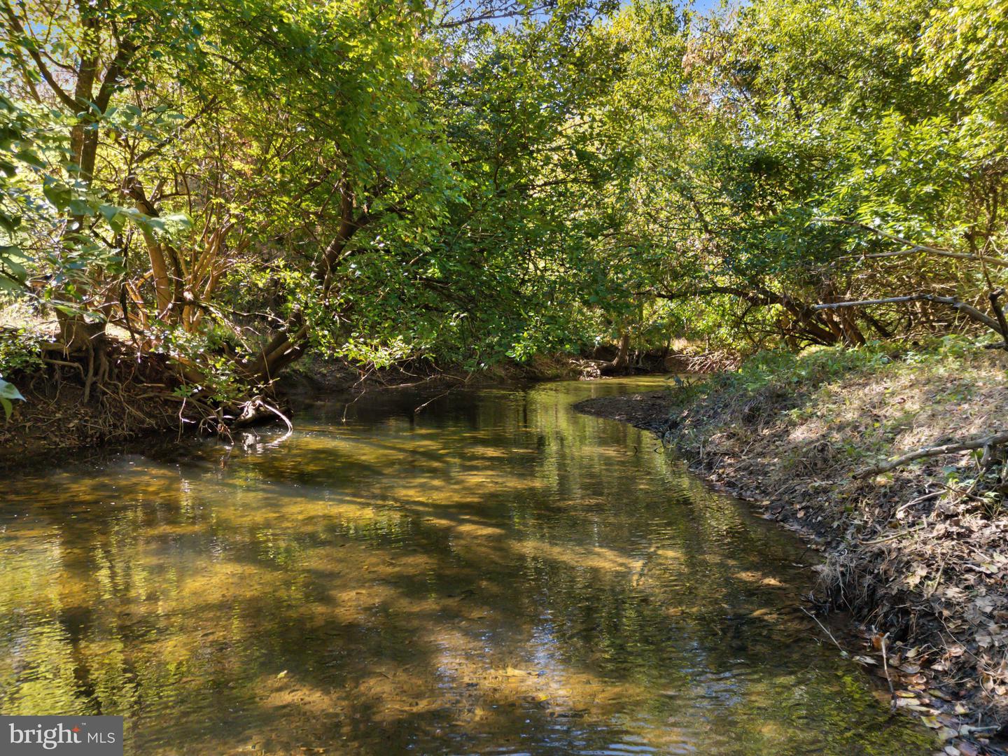 1077 GINNS RD, BOYCE, Virginia 22620, 6 Bedrooms Bedrooms, ,4 BathroomsBathrooms,Residential,For Sale,1077 GINNS RD,VACL2006022 MLS # VACL2006022 1077 GINNS RD, BOYCE, Virginia 22620, 6 Bedrooms Bedrooms, ,4 BathroomsBathrooms,Residential,For Sale,1077 GINNS RD,VACL2006022 MLS # VACL2006022