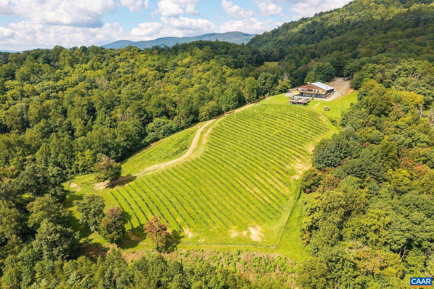 1376 WYATT MOUNTAIN RD, DYKE, Virginia 22935, 4 Bedrooms Bedrooms, ,4 BathroomsBathrooms,Residential,For Sale,1376 WYATT MOUNTAIN RD,668616 MLS # 668616