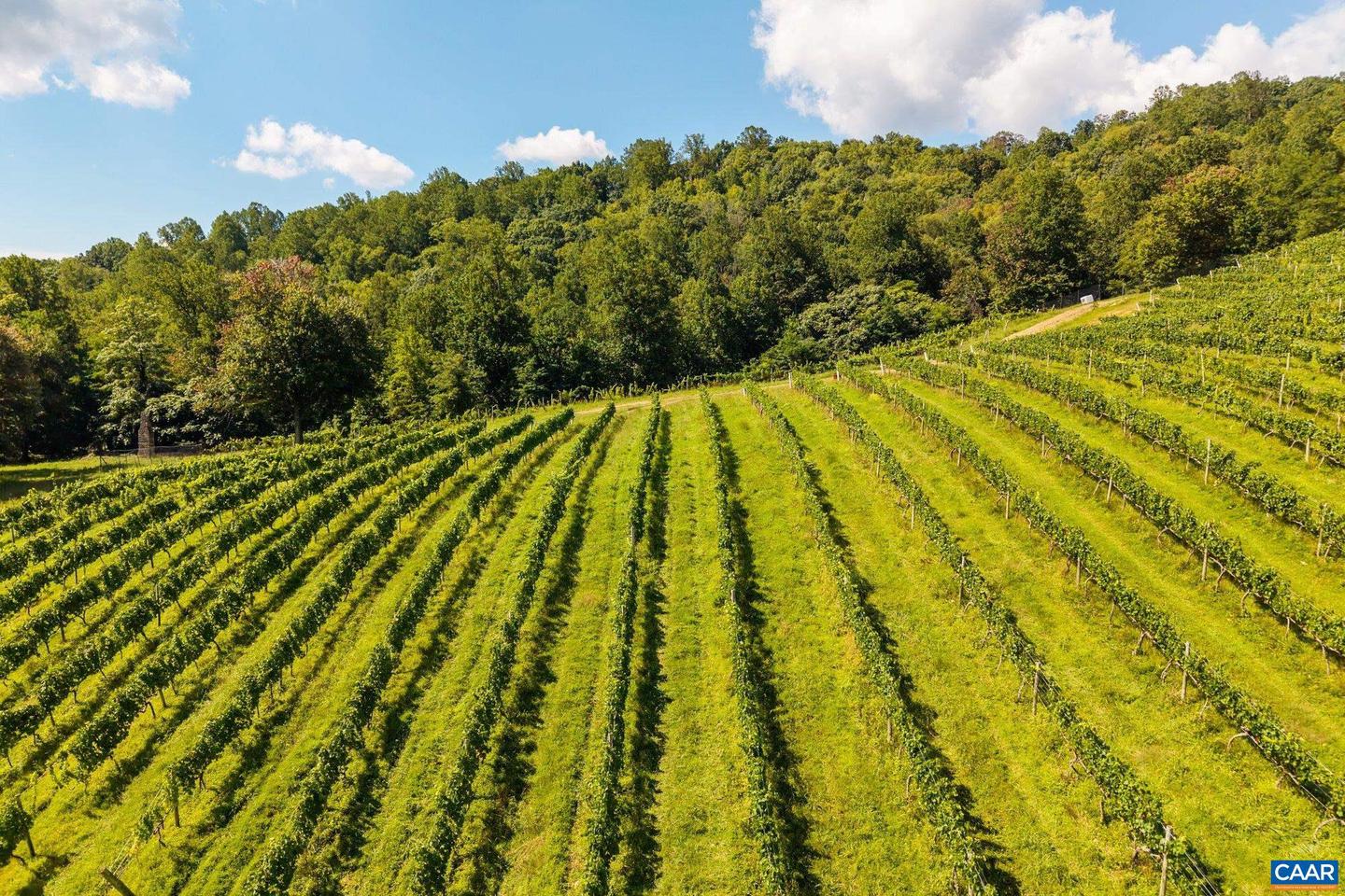 1376 WYATT MOUNTAIN RD, DYKE, Virginia 22935, 4 Bedrooms Bedrooms, ,4 BathroomsBathrooms,Residential,For Sale,1376 WYATT MOUNTAIN RD,668616 MLS # 668616