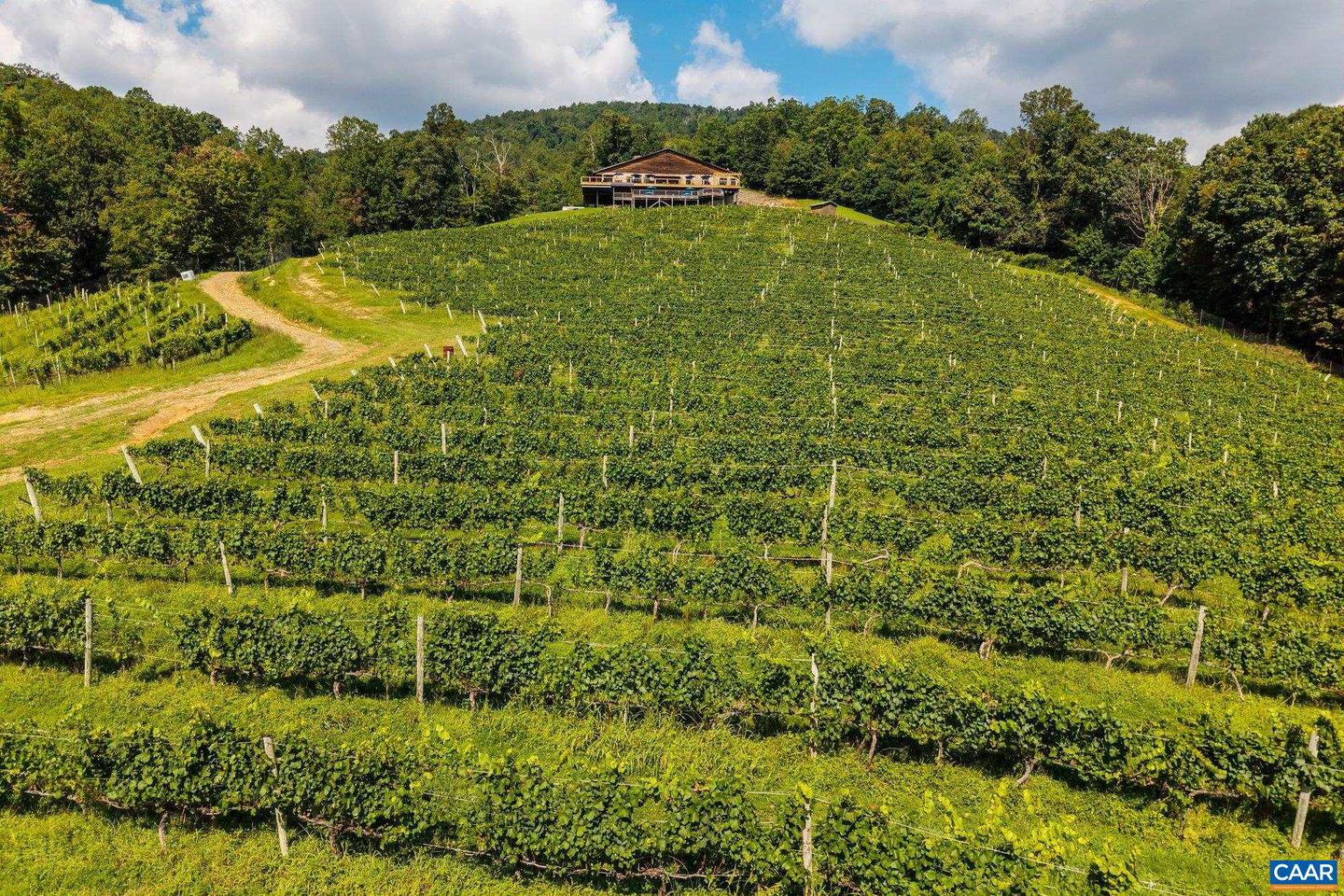 1376 WYATT MOUNTAIN RD, DYKE, Virginia 22935, 4 Bedrooms Bedrooms, ,4 BathroomsBathrooms,Residential,For Sale,1376 WYATT MOUNTAIN RD,668616 MLS # 668616