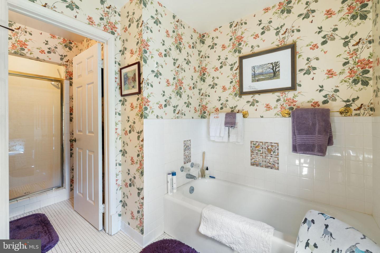 961 SUMMERVILLE RD, BOYCE, Virginia 22620, 3 Bedrooms Bedrooms, ,3 BathroomsBathrooms,Farm,For Sale,961 SUMMERVILLE RD,VACL2006034 MLS # VACL2006034 961 SUMMERVILLE RD, BOYCE, Virginia 22620, 3 Bedrooms Bedrooms, ,3 BathroomsBathrooms,Farm,For Sale,961 SUMMERVILLE RD,VACL2006034 MLS # VACL2006034