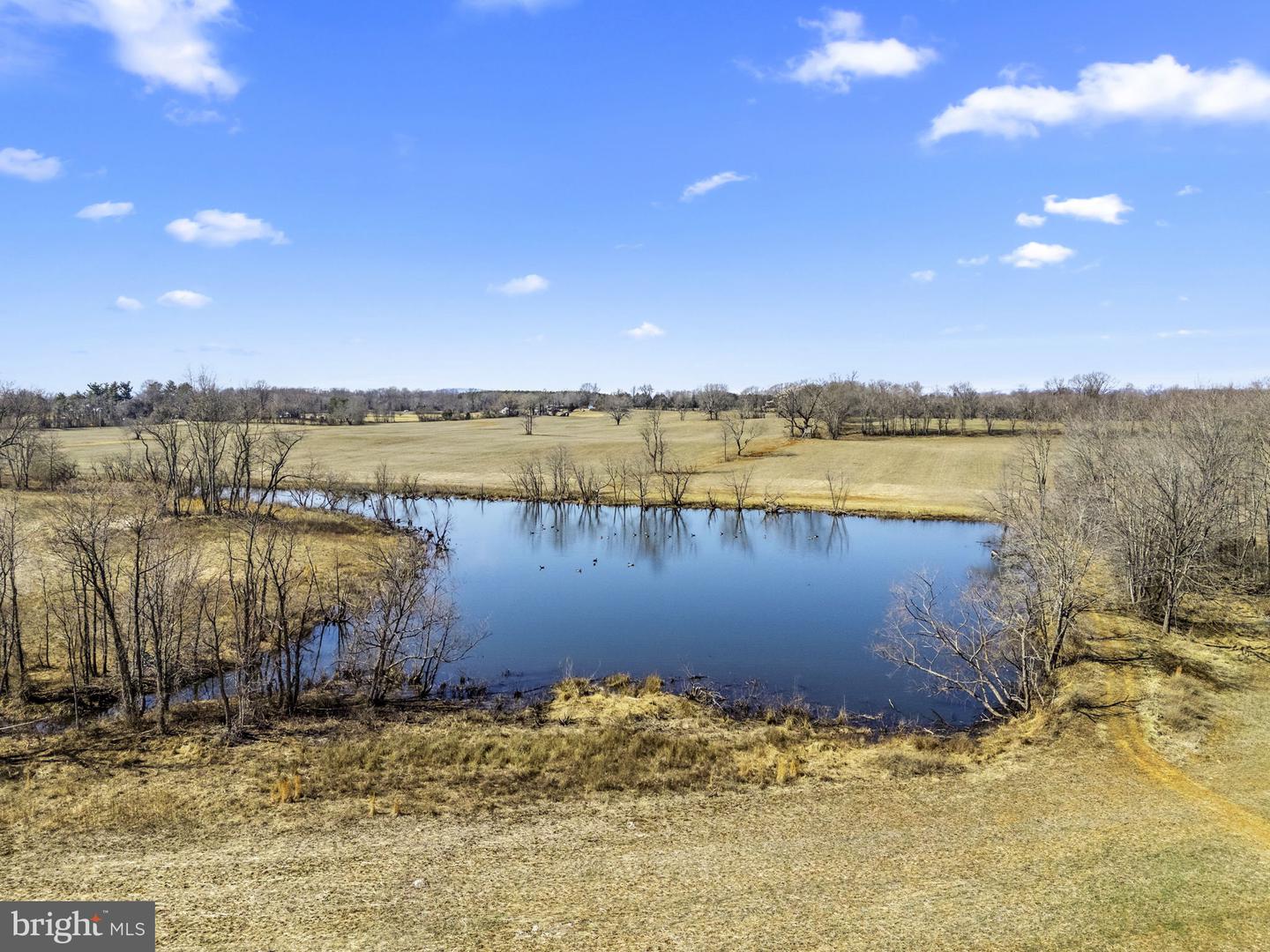 OLD TAVERN RD, THE PLAINS, Virginia 20198, ,Farm,For Sale,OLD TAVERN RD,VAFQ2015670 MLS # VAFQ2015670 OLD TAVERN RD, THE PLAINS, Virginia 20198, ,Farm,For Sale,OLD TAVERN RD,VAFQ2015670 MLS # VAFQ2015670