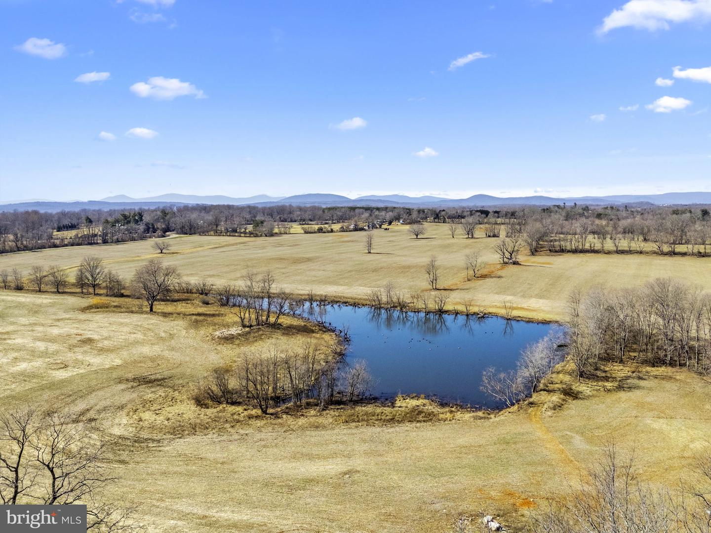 OLD TAVERN RD, THE PLAINS, Virginia 20198, ,Farm,For Sale,OLD TAVERN RD,VAFQ2015670 MLS # VAFQ2015670 OLD TAVERN RD, THE PLAINS, Virginia 20198, ,Farm,For Sale,OLD TAVERN RD,VAFQ2015670 MLS # VAFQ2015670