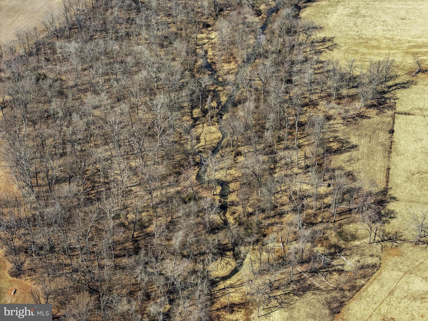 OLD TAVERN RD, THE PLAINS, Virginia 20198, ,Farm,For Sale,OLD TAVERN RD,VAFQ2015670 MLS # VAFQ2015670 OLD TAVERN RD, THE PLAINS, Virginia 20198, ,Farm,For Sale,OLD TAVERN RD,VAFQ2015670 MLS # VAFQ2015670