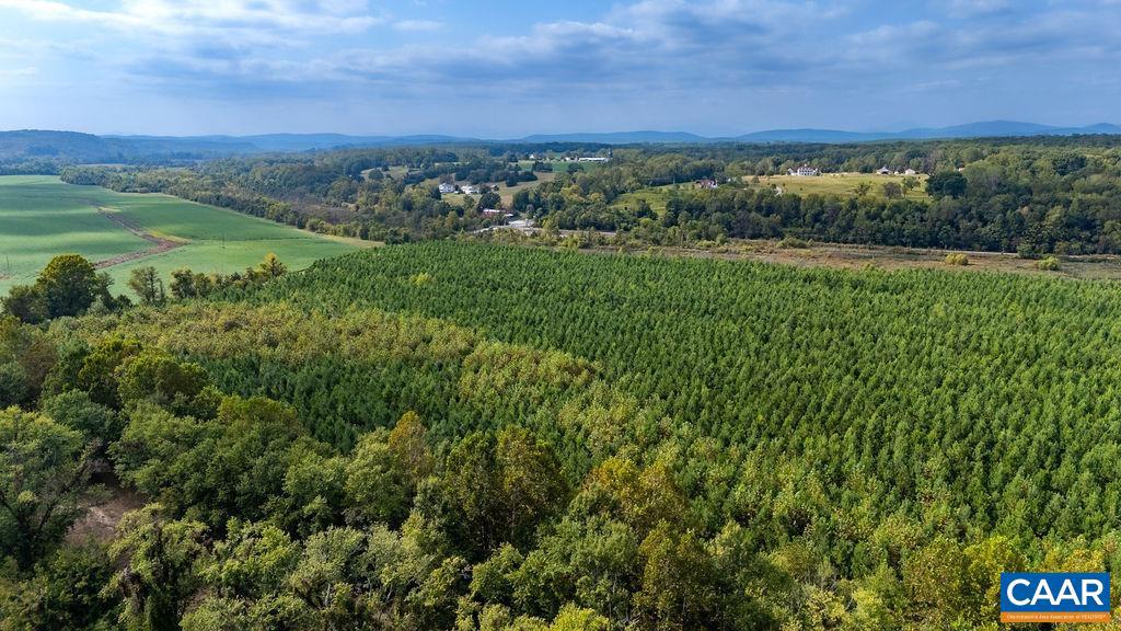 TBD JAMES RIVER RD, WINGINA, Virginia 24599, ,Land,For Sale,TBD JAMES RIVER RD,668767 MLS # 668767 TBD JAMES RIVER RD, WINGINA, Virginia 24599, ,Land,For Sale,TBD JAMES RIVER RD,668767 MLS # 668767