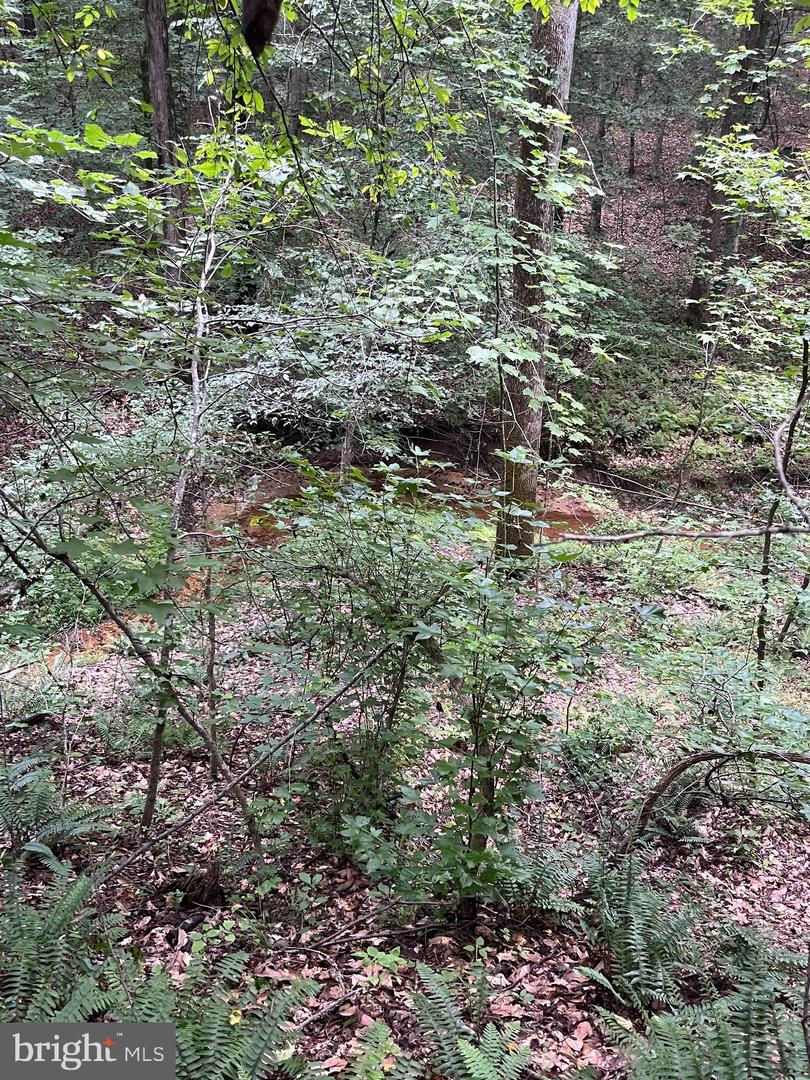 LOT 27 SALEM CHURCH RD, KING GEORGE, Virginia 22485, ,Land,For Sale,LOT 27 SALEM CHURCH RD,VAKG2006980 MLS # VAKG2006980 LOT 27 SALEM CHURCH RD, KING GEORGE, Virginia 22485, ,Land,For Sale,LOT 27 SALEM CHURCH RD,VAKG2006980 MLS # VAKG2006980