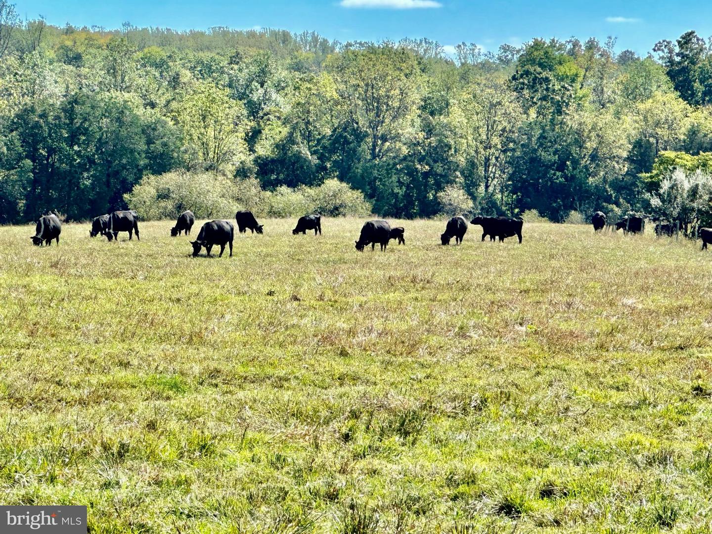 7038 BEACONSFIELD LN, WARRENTON, Virginia 20187, 2 Bedrooms Bedrooms, ,3 BathroomsBathrooms,Residential,For Sale,7038 BEACONSFIELD LN,VAFQ2018078 MLS # VAFQ2018078