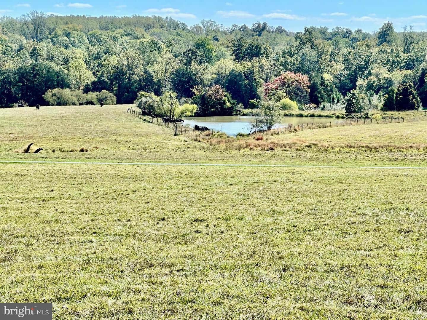 7038 BEACONSFIELD LN, WARRENTON, Virginia 20187, 2 Bedrooms Bedrooms, ,3 BathroomsBathrooms,Residential,For Sale,7038 BEACONSFIELD LN,VAFQ2018078 MLS # VAFQ2018078