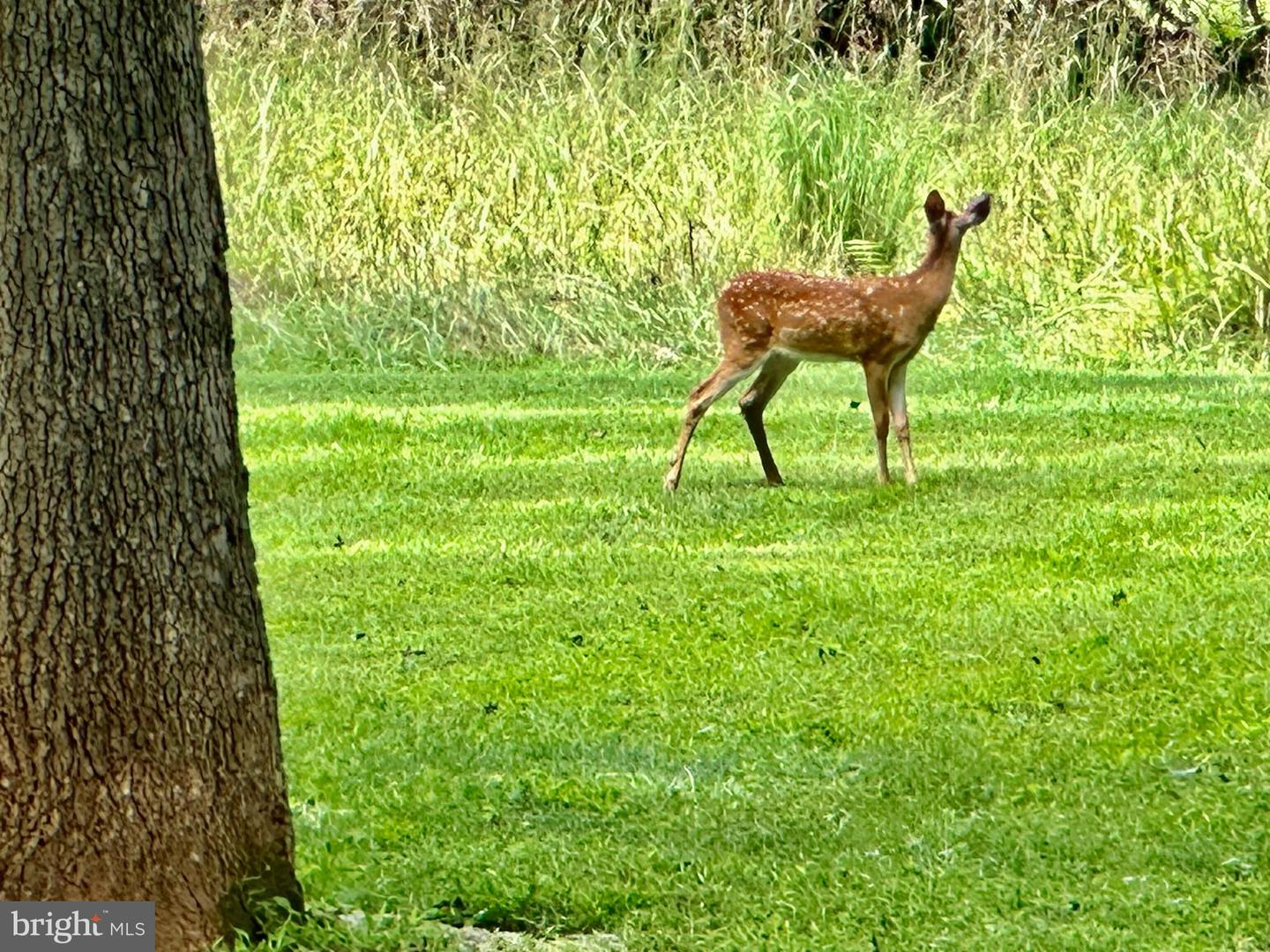 7038 BEACONSFIELD LN, WARRENTON, Virginia 20187, 2 Bedrooms Bedrooms, ,3 BathroomsBathrooms,Residential,For Sale,7038 BEACONSFIELD LN,VAFQ2018078 MLS # VAFQ2018078