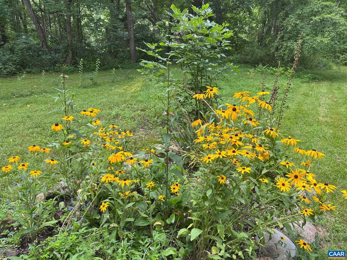 2960 BEECH GROVE RD, ROSELAND, Virginia 22967, 2 Bedrooms Bedrooms, ,1 BathroomBathrooms,Residential,For Sale,2960 BEECH GROVE RD,668747 MLS # 668747