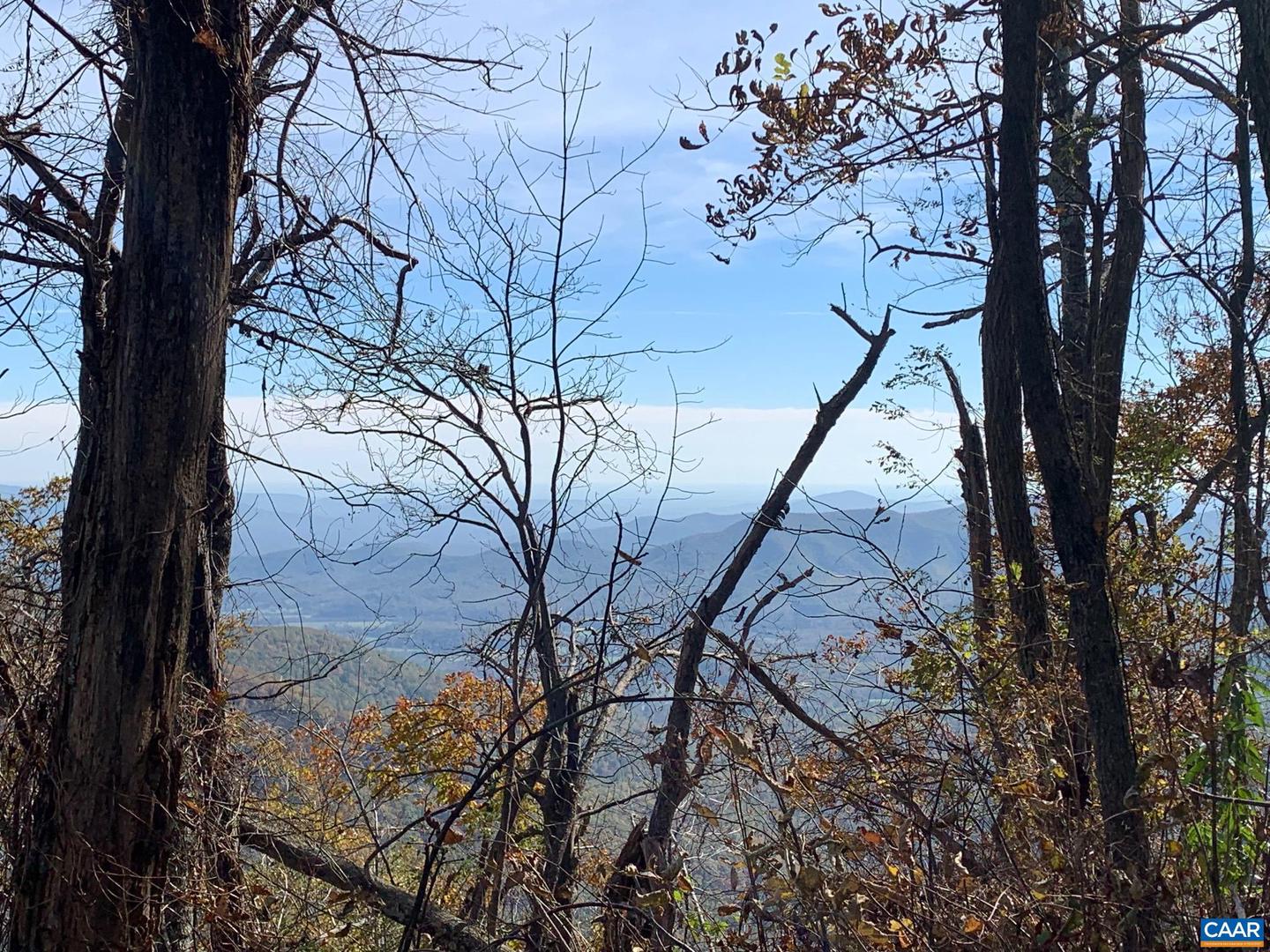 2960 BEECH GROVE RD, ROSELAND, Virginia 22967, 2 Bedrooms Bedrooms, ,1 BathroomBathrooms,Residential,For Sale,2960 BEECH GROVE RD,668747 MLS # 668747