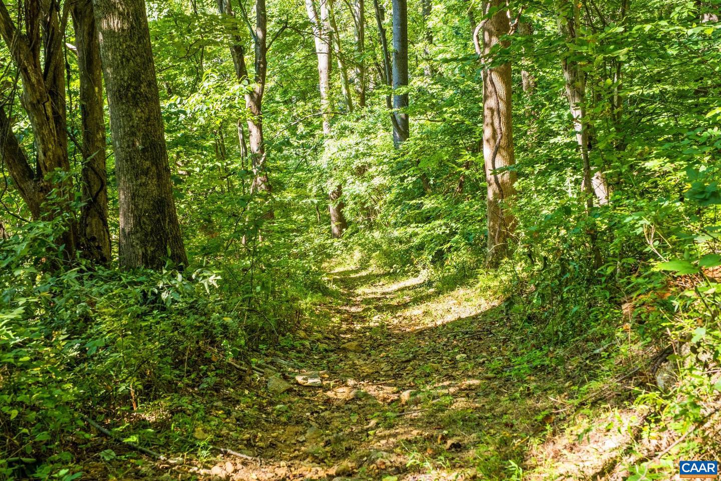 2960 BEECH GROVE RD, ROSELAND, Virginia 22967, 2 Bedrooms Bedrooms, ,1 BathroomBathrooms,Residential,For Sale,2960 BEECH GROVE RD,668747 MLS # 668747