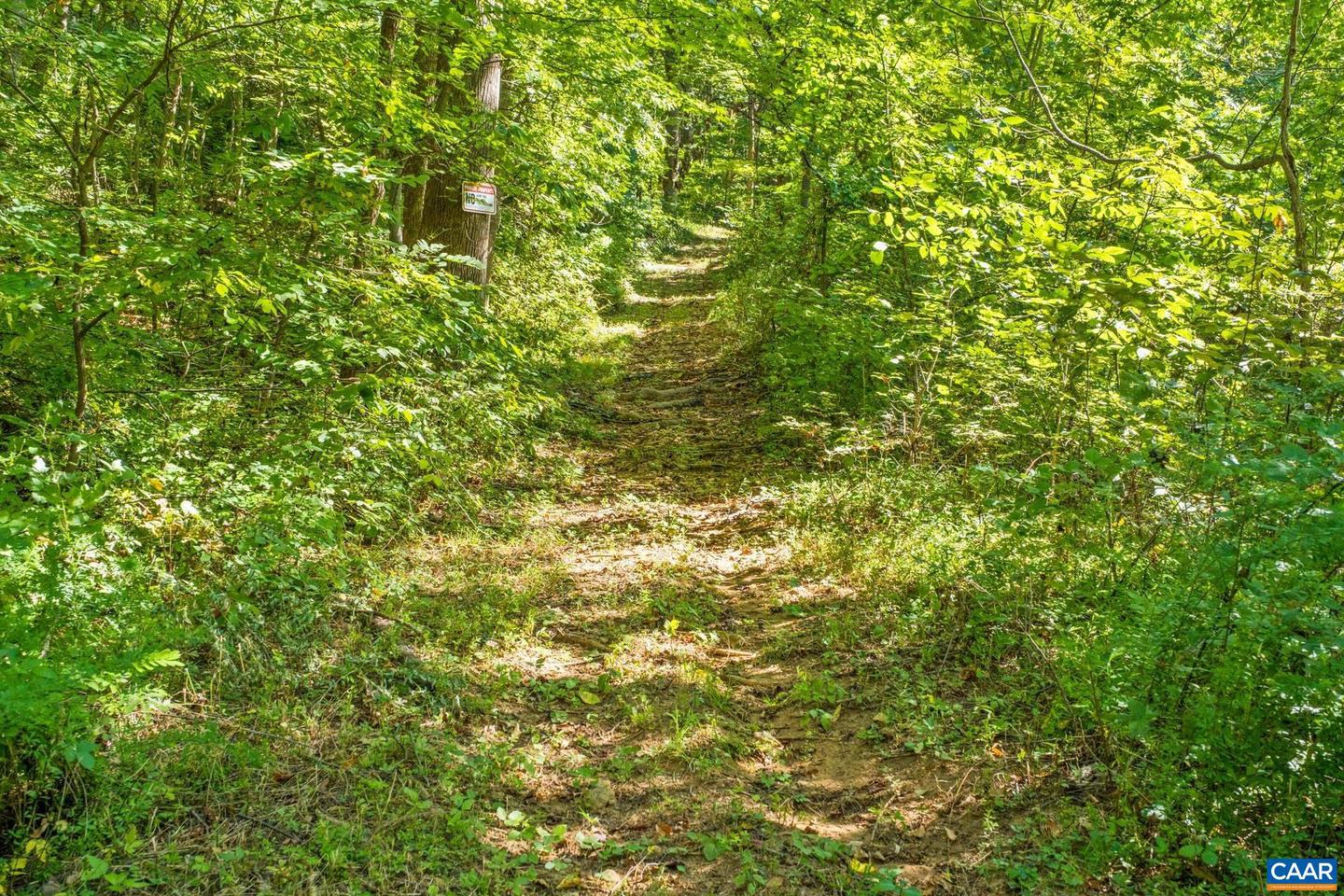 2960 BEECH GROVE RD, ROSELAND, Virginia 22967, 2 Bedrooms Bedrooms, ,1 BathroomBathrooms,Residential,For Sale,2960 BEECH GROVE RD,668747 MLS # 668747