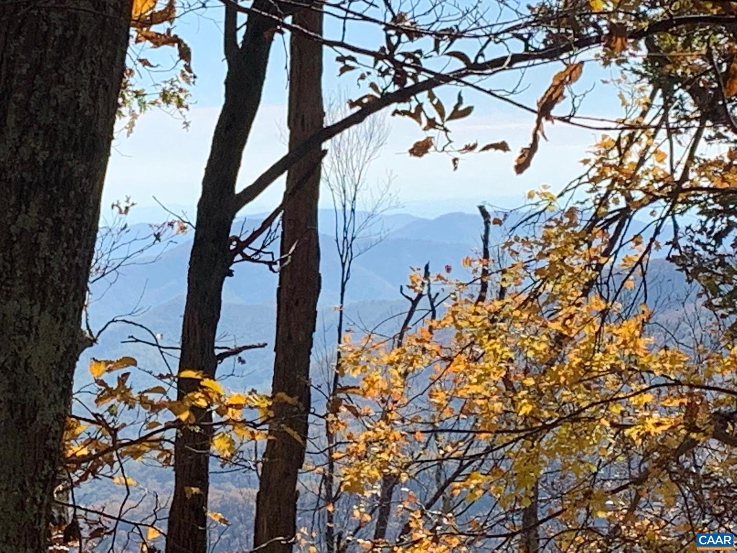 2960 BEECH GROVE RD, ROSELAND, Virginia 22967, 2 Bedrooms Bedrooms, ,1 BathroomBathrooms,Residential,For Sale,2960 BEECH GROVE RD,668747 MLS # 668747