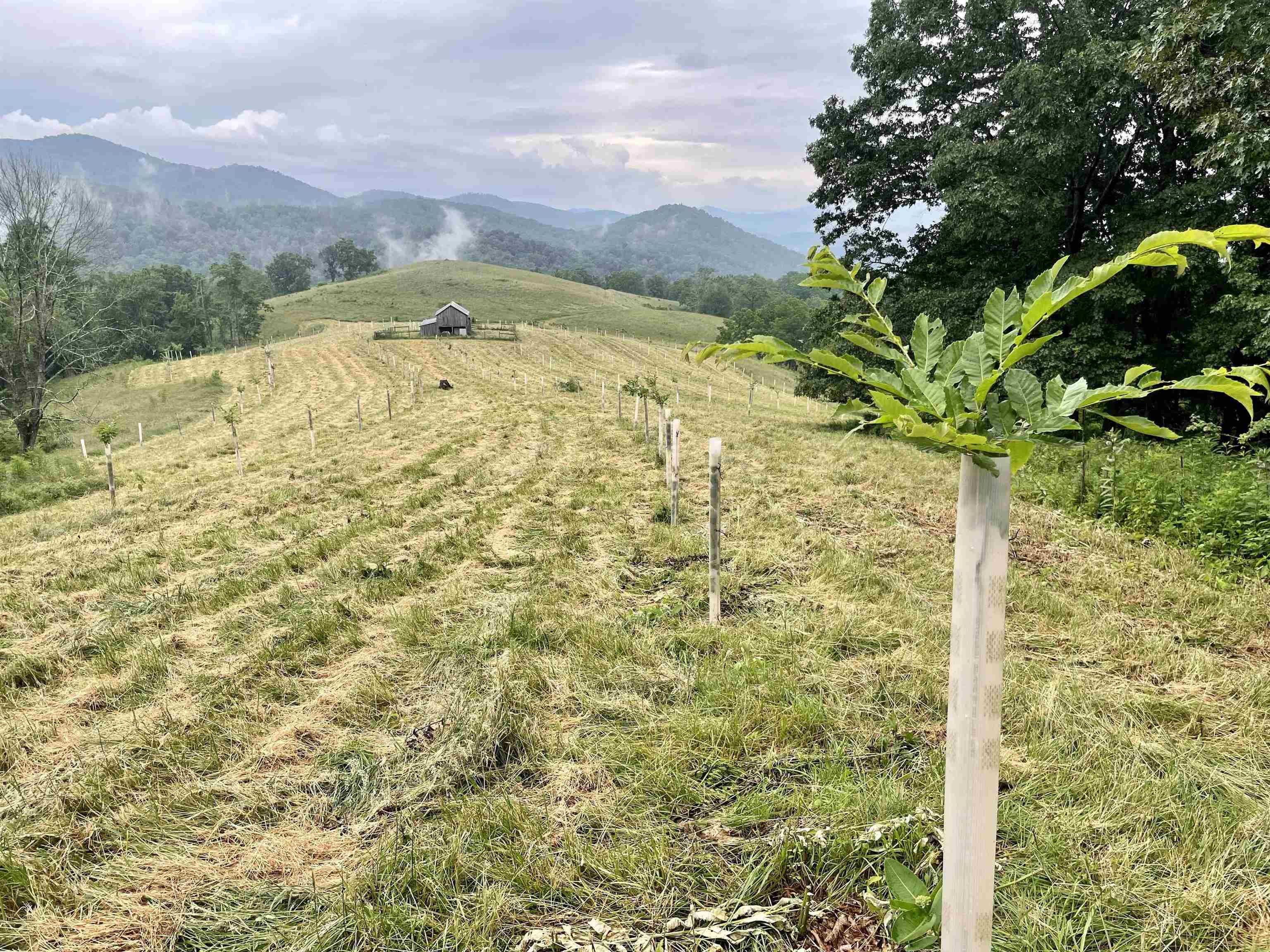 9943 HIGHLAND TPKE, MCDOWELL, Virginia 24458, 2 Bedrooms Bedrooms, ,1 BathroomBathrooms,Residential,14,9943 HIGHLAND TPKE,661550 MLS # 661550