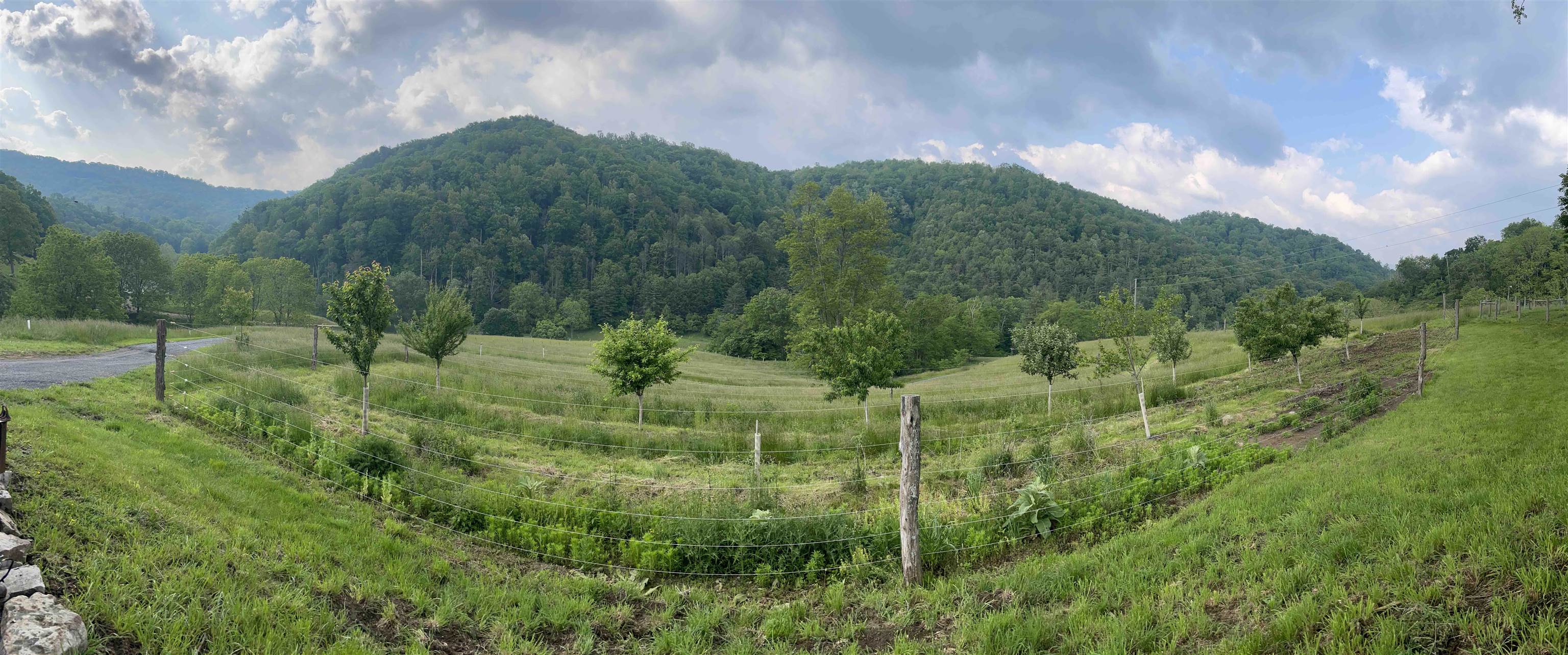 9943 HIGHLAND TPKE, MCDOWELL, Virginia 24458, 2 Bedrooms Bedrooms, ,1 BathroomBathrooms,Residential,14,9943 HIGHLAND TPKE,661550 MLS # 661550