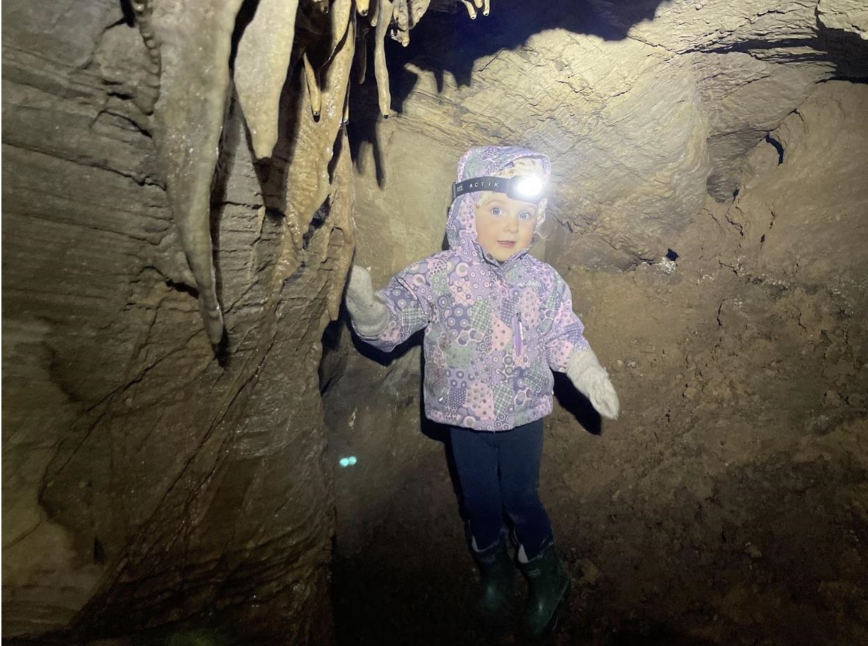 9943 HIGHLAND TPKE, MCDOWELL, Virginia 24458, 2 Bedrooms Bedrooms, ,1 BathroomBathrooms,Residential,14,9943 HIGHLAND TPKE,661550 MLS # 661550