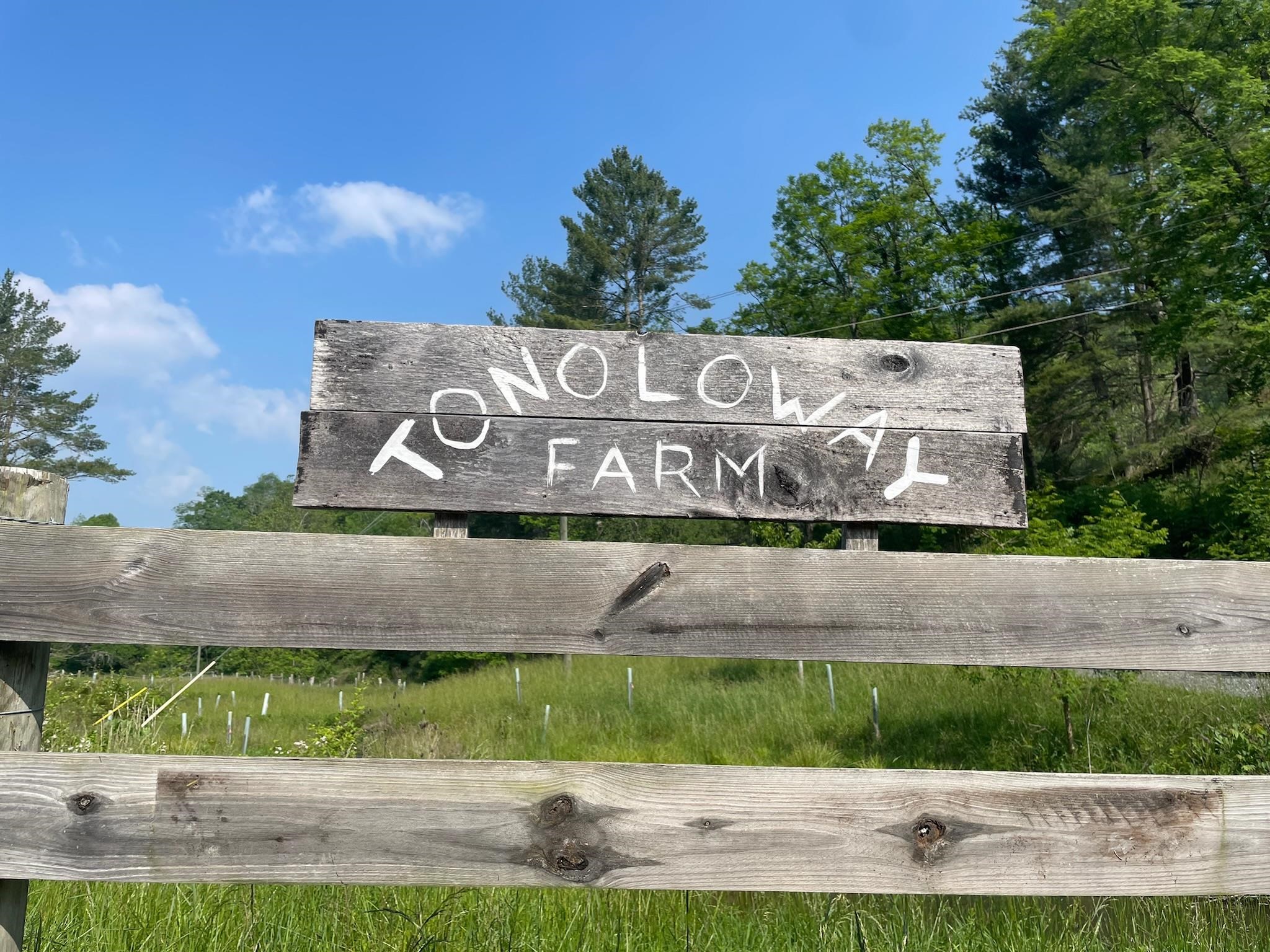 9943 HIGHLAND TPKE, MCDOWELL, Virginia 24458, 2 Bedrooms Bedrooms, ,1 BathroomBathrooms,Residential,14,9943 HIGHLAND TPKE,661550 MLS # 661550