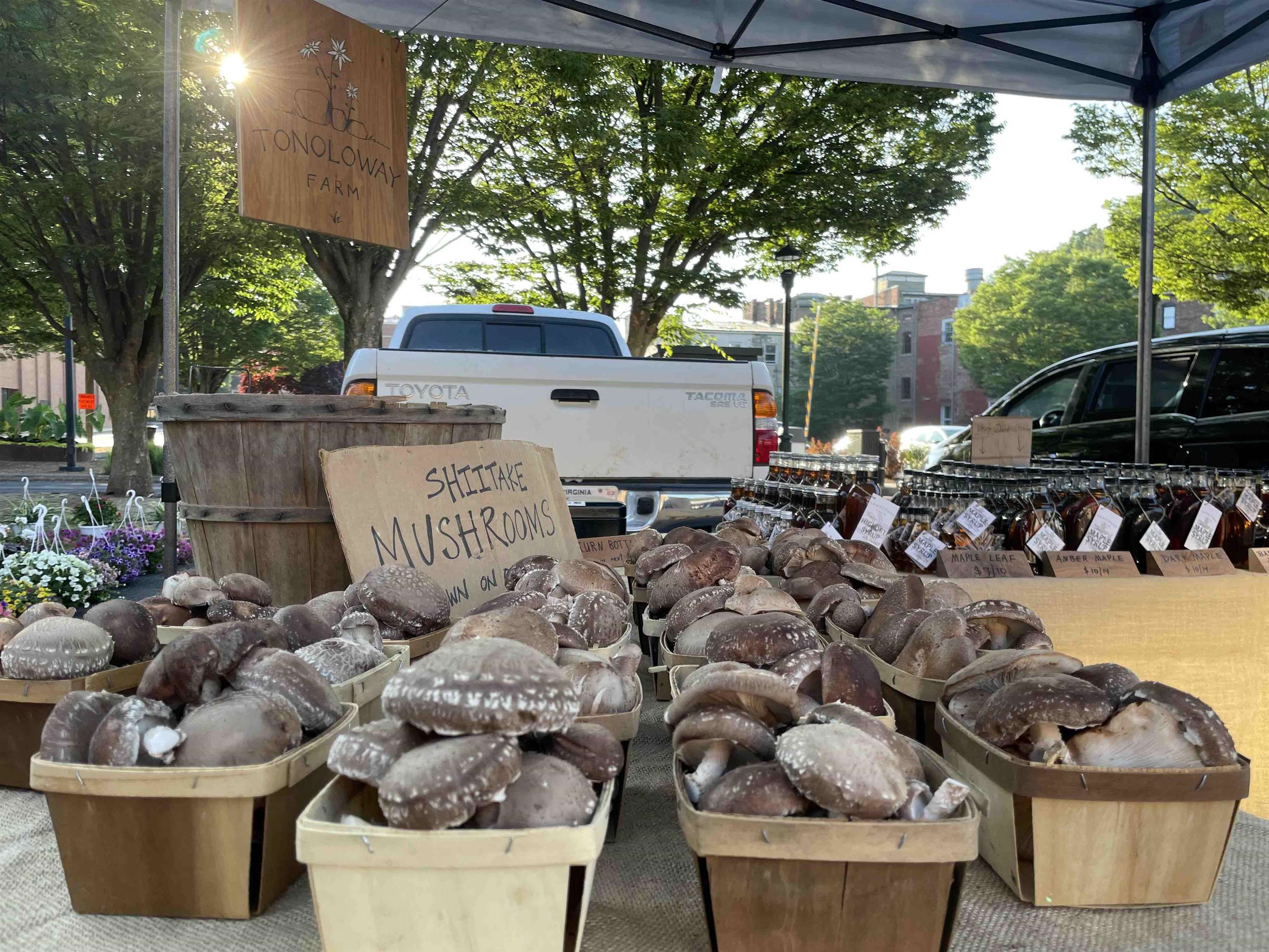 9943 HIGHLAND TPKE, MCDOWELL, Virginia 24458, 2 Bedrooms Bedrooms, ,1 BathroomBathrooms,Residential,14,9943 HIGHLAND TPKE,661550 MLS # 661550