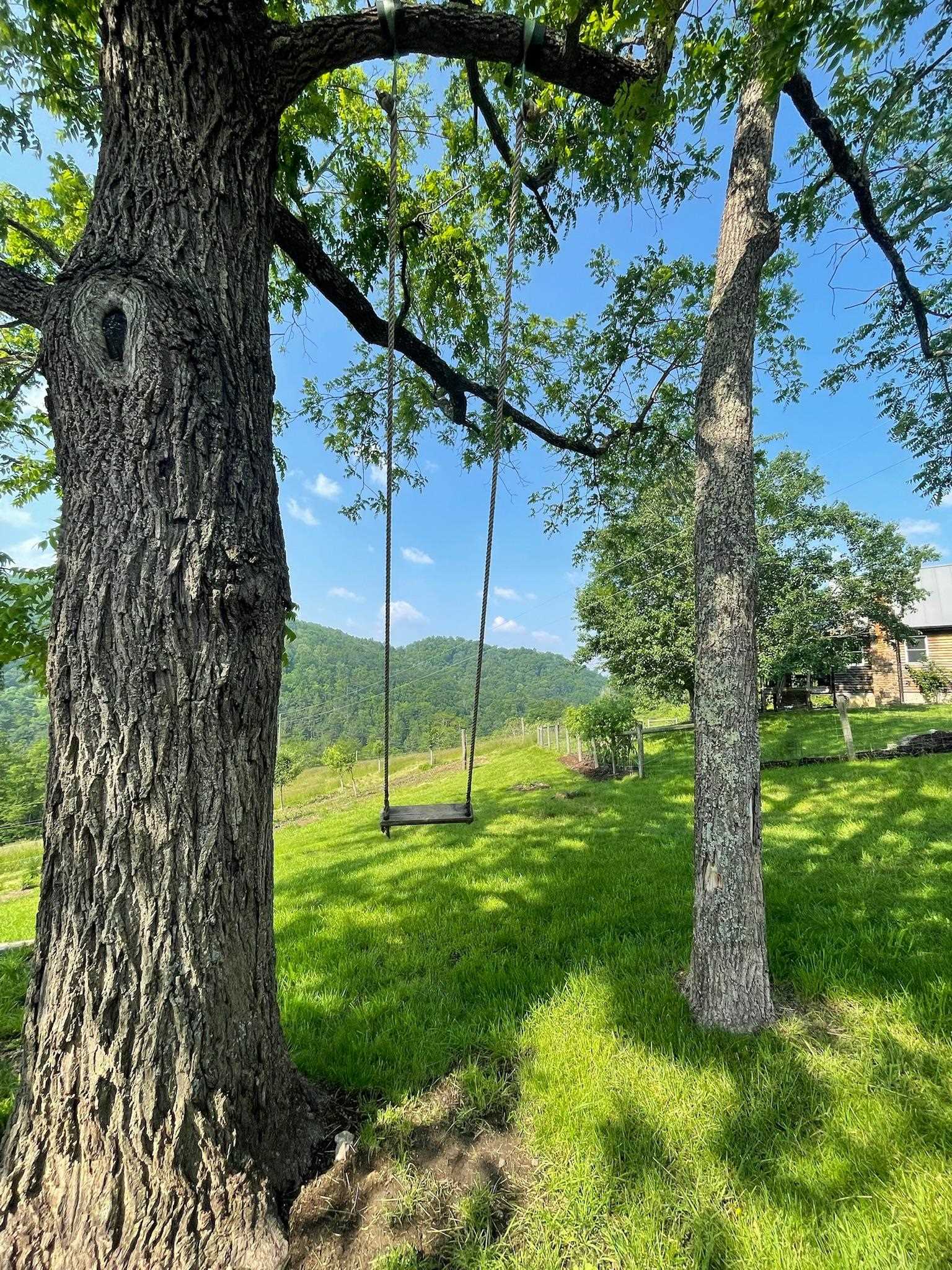 9943 HIGHLAND TPKE, MCDOWELL, Virginia 24458, 2 Bedrooms Bedrooms, ,1 BathroomBathrooms,Residential,14,9943 HIGHLAND TPKE,661550 MLS # 661550