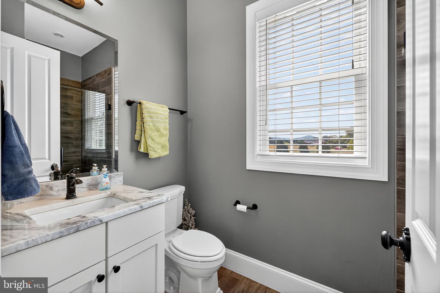 620 TILTHAMMER MILL RD, BOYCE, Virginia 22620, 4 Bedrooms Bedrooms, 12 Rooms Rooms,4 BathroomsBathrooms,Residential,For Sale,620 TILTHAMMER MILL RD,VACL2006032 MLS # VACL2006032