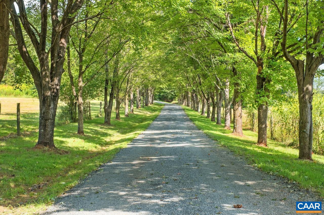 8540 TAYLOR CREEK RD, AFTON, Virginia 22920, 5 Bedrooms Bedrooms, ,3 BathroomsBathrooms,Residential,For Sale,8540 TAYLOR CREEK RD,668777 MLS # 668777 8540 TAYLOR CREEK RD, AFTON, Virginia 22920, 5 Bedrooms Bedrooms, ,3 BathroomsBathrooms,Residential,For Sale,8540 TAYLOR CREEK RD,668777 MLS # 668777