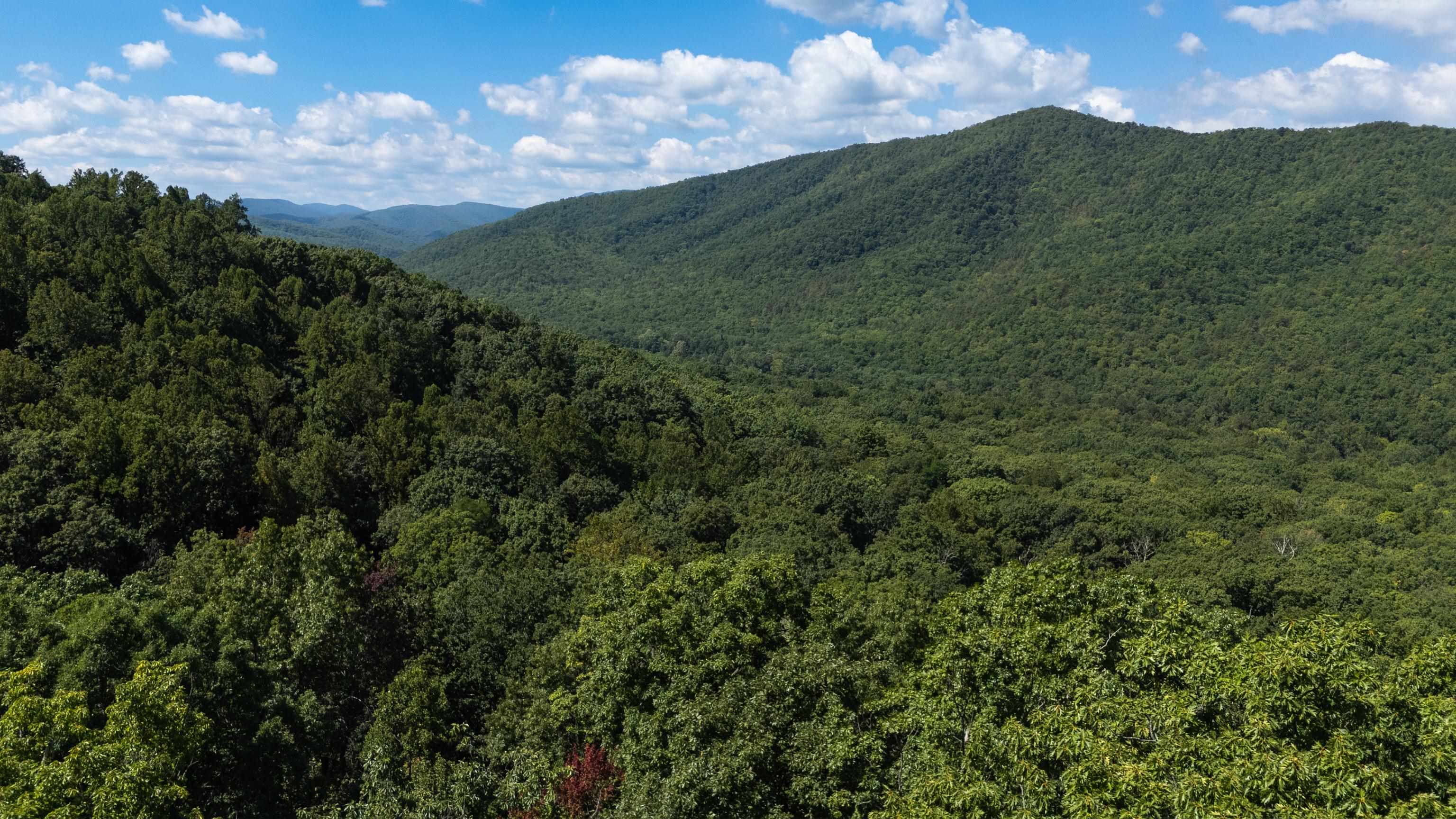 180 BEAR PATH LN, LYNDHURST, Virginia 22952, ,Land,14,180 BEAR PATH LN,668885 MLS # 668885 180 BEAR PATH LN, LYNDHURST, Virginia 22952, ,Land,14,180 BEAR PATH LN,668885 MLS # 668885