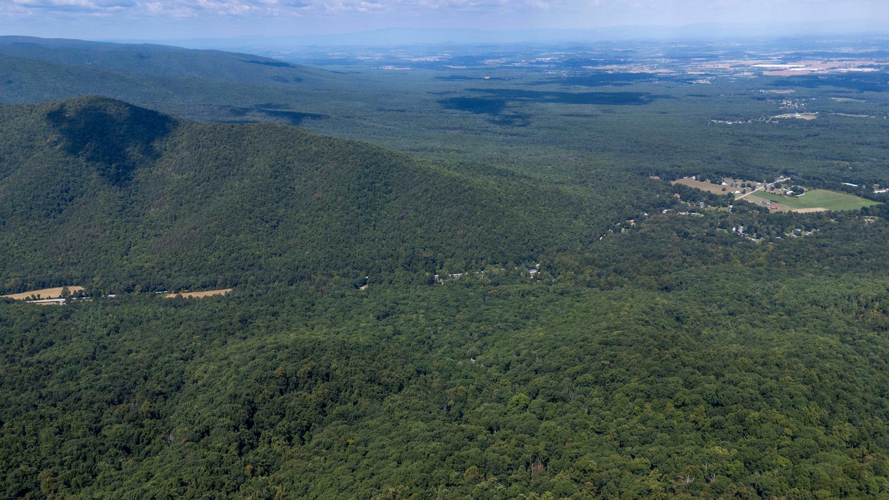 180 BEAR PATH LN, LYNDHURST, Virginia 22952, ,Land,14,180 BEAR PATH LN,668885 MLS # 668885 180 BEAR PATH LN, LYNDHURST, Virginia 22952, ,Land,14,180 BEAR PATH LN,668885 MLS # 668885