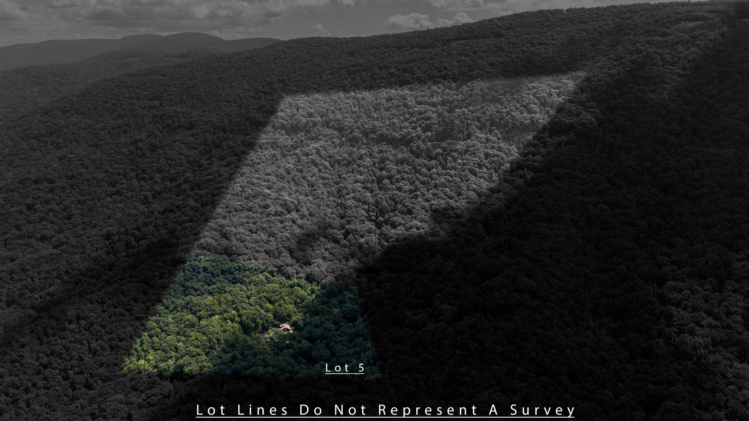 180 BEAR PATH LN, LYNDHURST, Virginia 22952, ,Land,14,180 BEAR PATH LN,668885 MLS # 668885 180 BEAR PATH LN, LYNDHURST, Virginia 22952, ,Land,14,180 BEAR PATH LN,668885 MLS # 668885