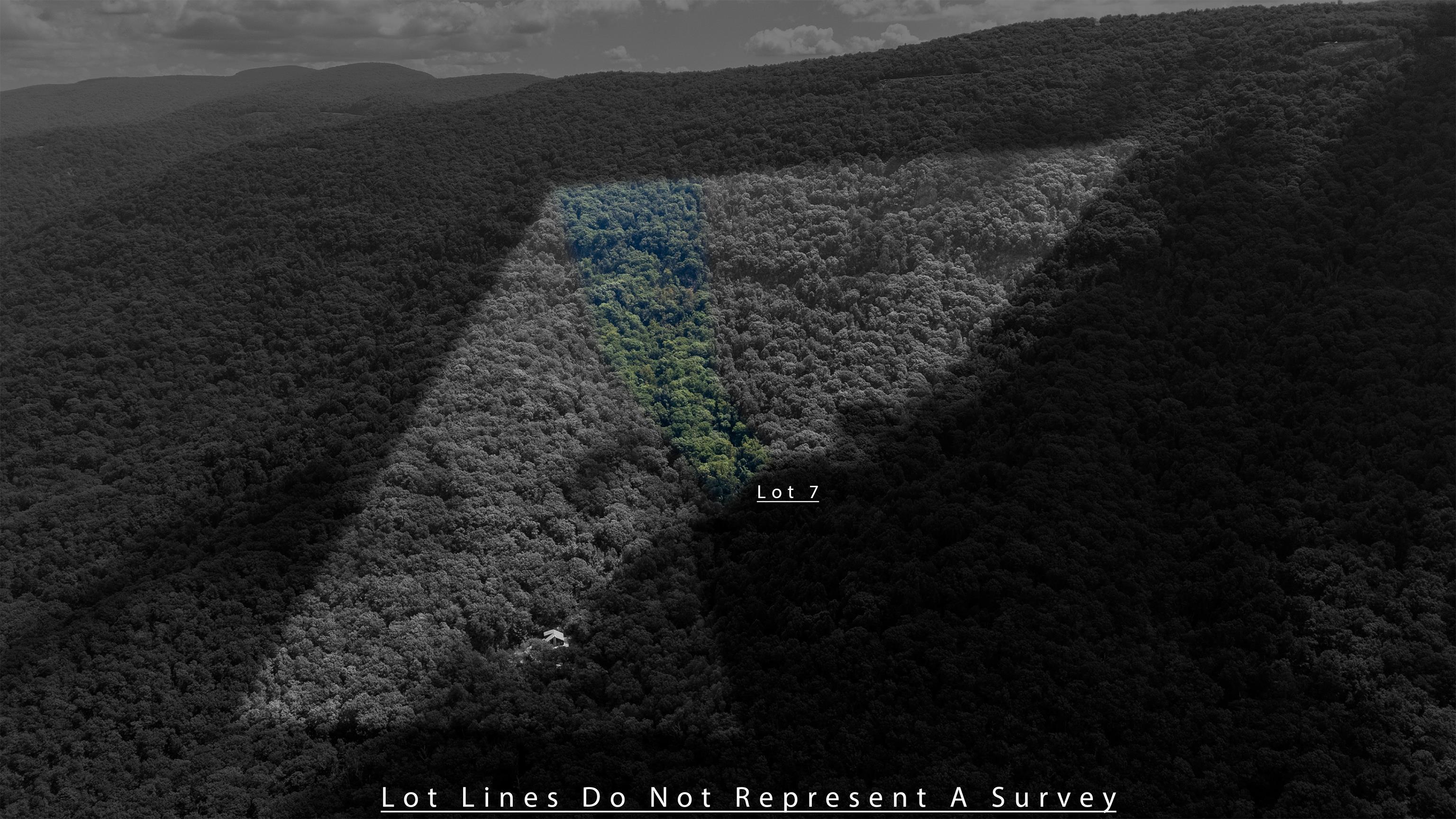 180 BEAR PATH LN, LYNDHURST, Virginia 22952, ,Land,14,180 BEAR PATH LN,668885 MLS # 668885 180 BEAR PATH LN, LYNDHURST, Virginia 22952, ,Land,14,180 BEAR PATH LN,668885 MLS # 668885