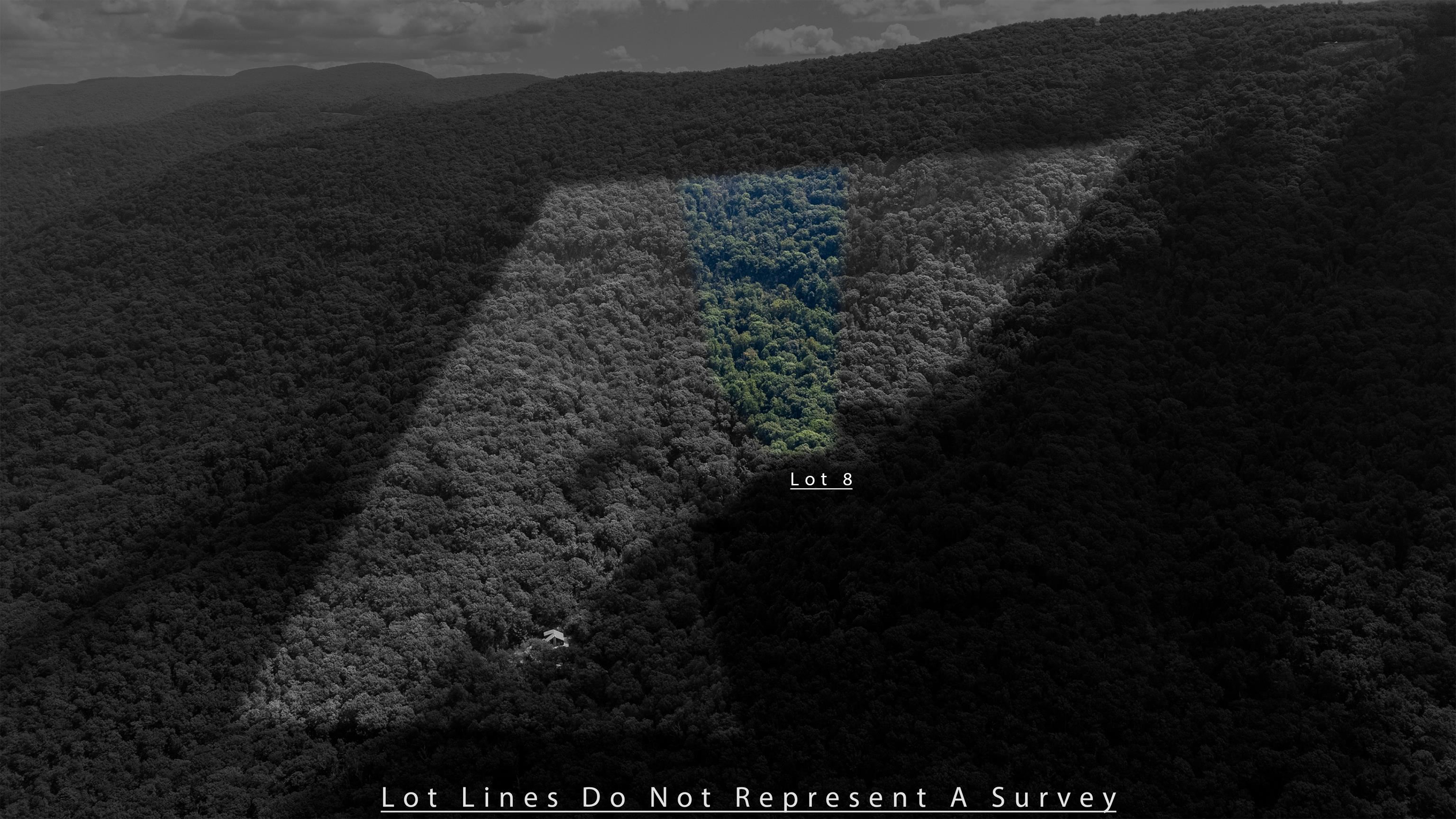 180 BEAR PATH LN, LYNDHURST, Virginia 22952, ,Land,14,180 BEAR PATH LN,668885 MLS # 668885 180 BEAR PATH LN, LYNDHURST, Virginia 22952, ,Land,14,180 BEAR PATH LN,668885 MLS # 668885