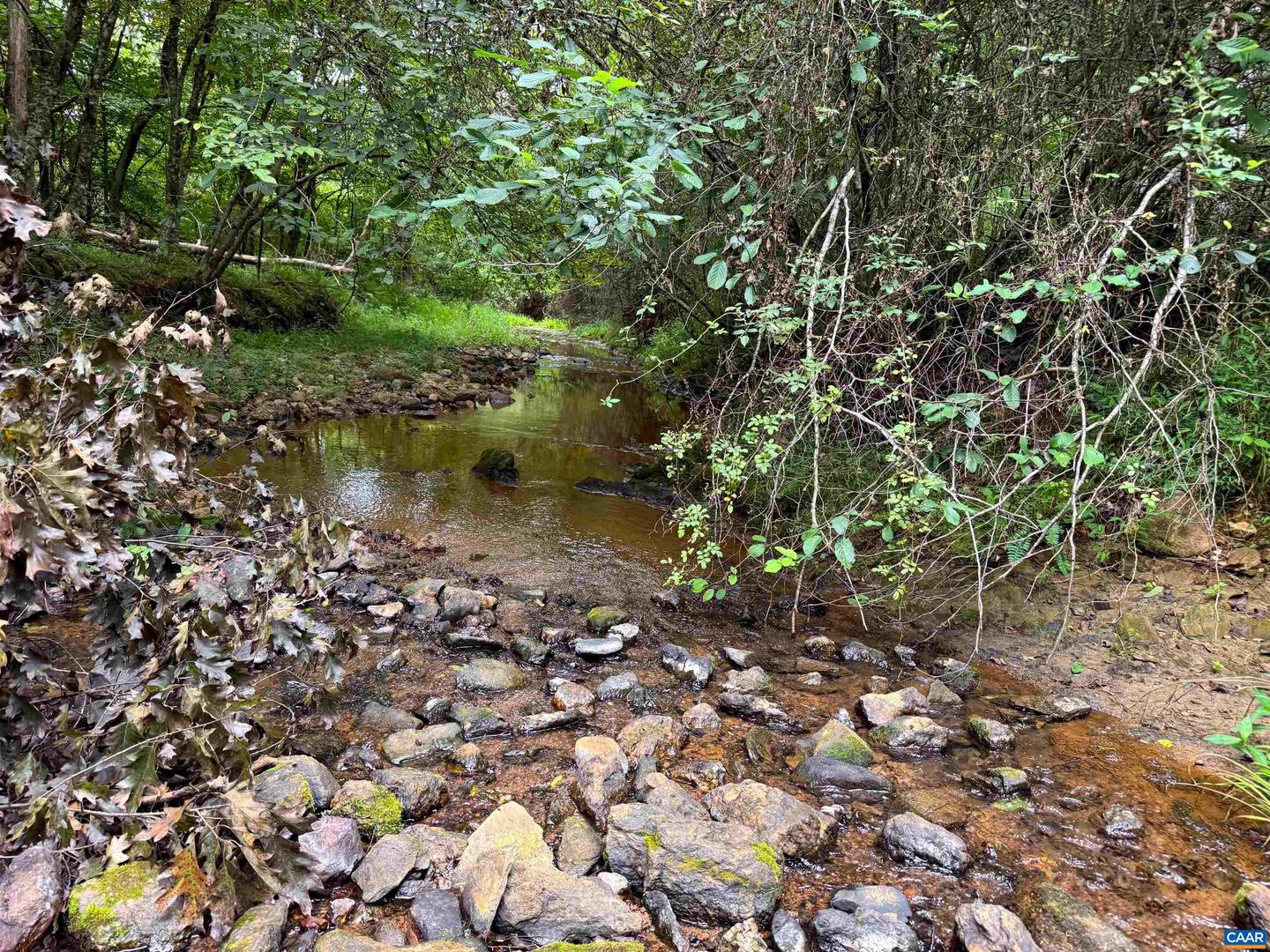 TBA OLD GREEN MOUNTAIN RD #00500, ESMONT, Virginia 22937, ,Farm,For Sale,TBA OLD GREEN MOUNTAIN RD #00500,668925 MLS # 668925 TBA OLD GREEN MOUNTAIN RD #00500, ESMONT, Virginia 22937, ,Farm,For Sale,TBA OLD GREEN MOUNTAIN RD #00500,668925 MLS # 668925