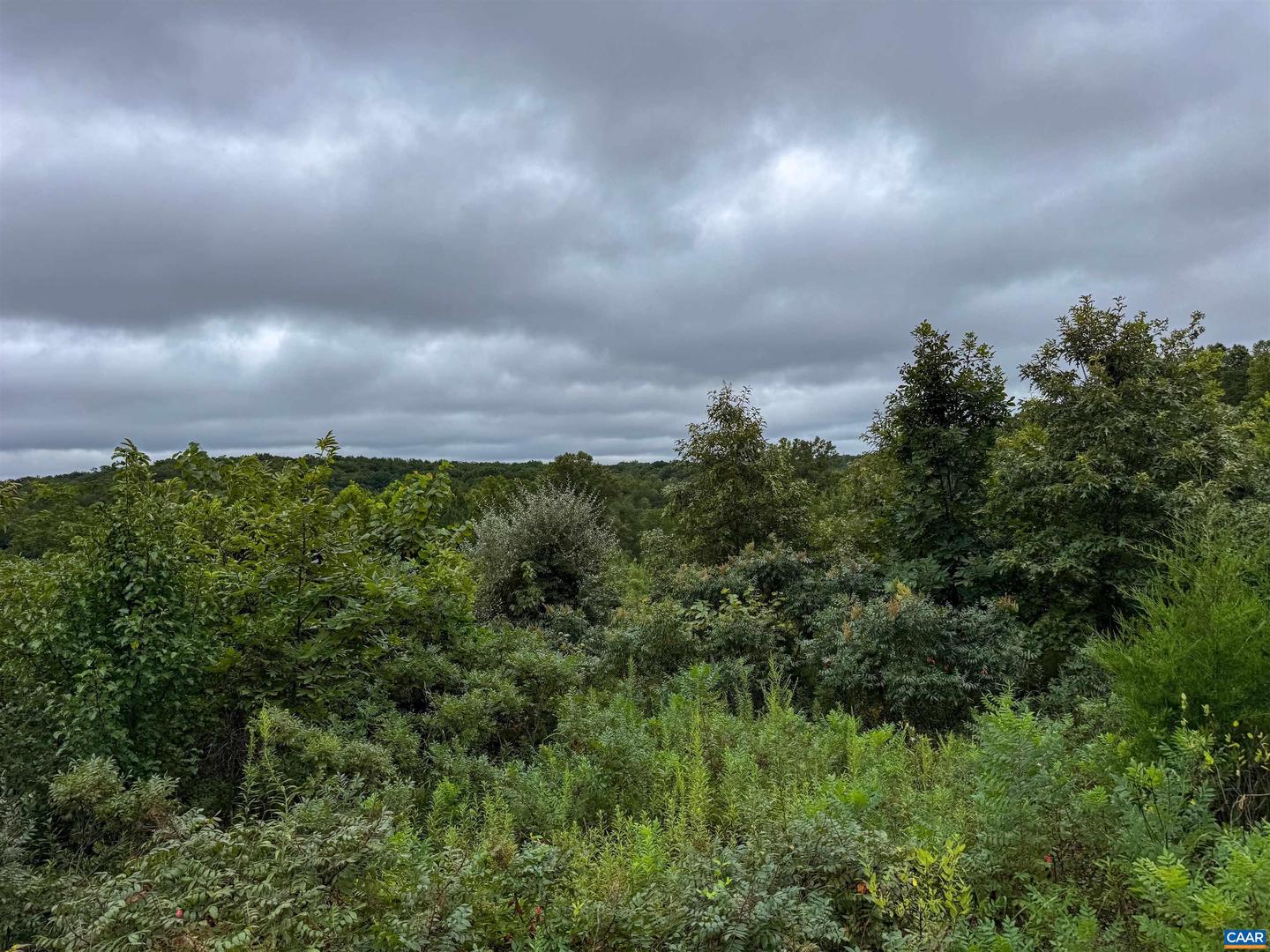 TBA OLD GREEN MOUNTAIN RD #00500, ESMONT, Virginia 22937, ,Farm,For Sale,TBA OLD GREEN MOUNTAIN RD #00500,668925 MLS # 668925 TBA OLD GREEN MOUNTAIN RD #00500, ESMONT, Virginia 22937, ,Farm,For Sale,TBA OLD GREEN MOUNTAIN RD #00500,668925 MLS # 668925