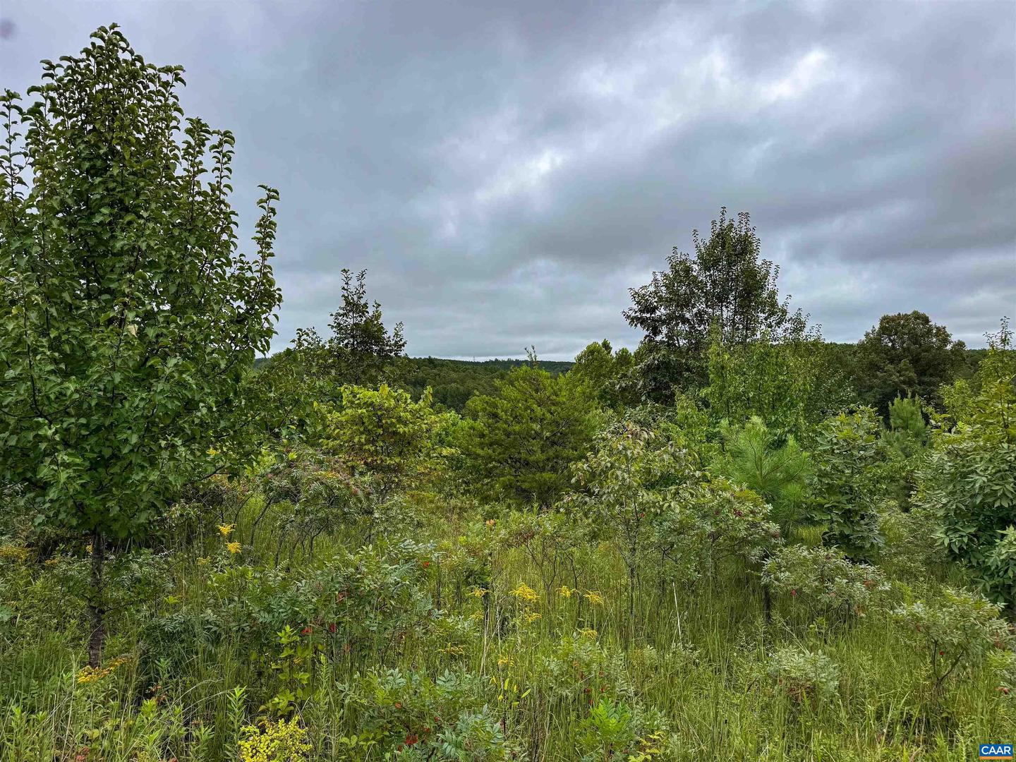 TBA OLD GREEN MOUNTAIN RD #00500, ESMONT, Virginia 22937, ,Farm,For Sale,TBA OLD GREEN MOUNTAIN RD #00500,668925 MLS # 668925 TBA OLD GREEN MOUNTAIN RD #00500, ESMONT, Virginia 22937, ,Farm,For Sale,TBA OLD GREEN MOUNTAIN RD #00500,668925 MLS # 668925