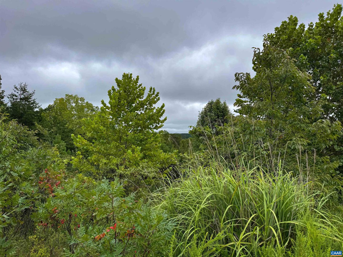 TBA OLD GREEN MOUNTAIN RD #00500, ESMONT, Virginia 22937, ,Farm,For Sale,TBA OLD GREEN MOUNTAIN RD #00500,668925 MLS # 668925 TBA OLD GREEN MOUNTAIN RD #00500, ESMONT, Virginia 22937, ,Farm,For Sale,TBA OLD GREEN MOUNTAIN RD #00500,668925 MLS # 668925