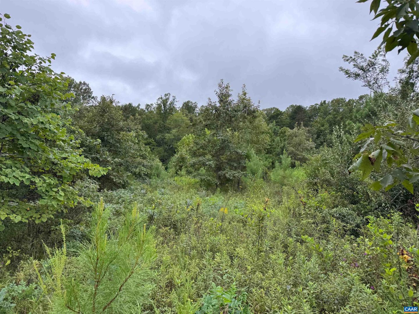 TBA OLD GREEN MOUNTAIN RD #00500, ESMONT, Virginia 22937, ,Farm,For Sale,TBA OLD GREEN MOUNTAIN RD #00500,668925 MLS # 668925 TBA OLD GREEN MOUNTAIN RD #00500, ESMONT, Virginia 22937, ,Farm,For Sale,TBA OLD GREEN MOUNTAIN RD #00500,668925 MLS # 668925