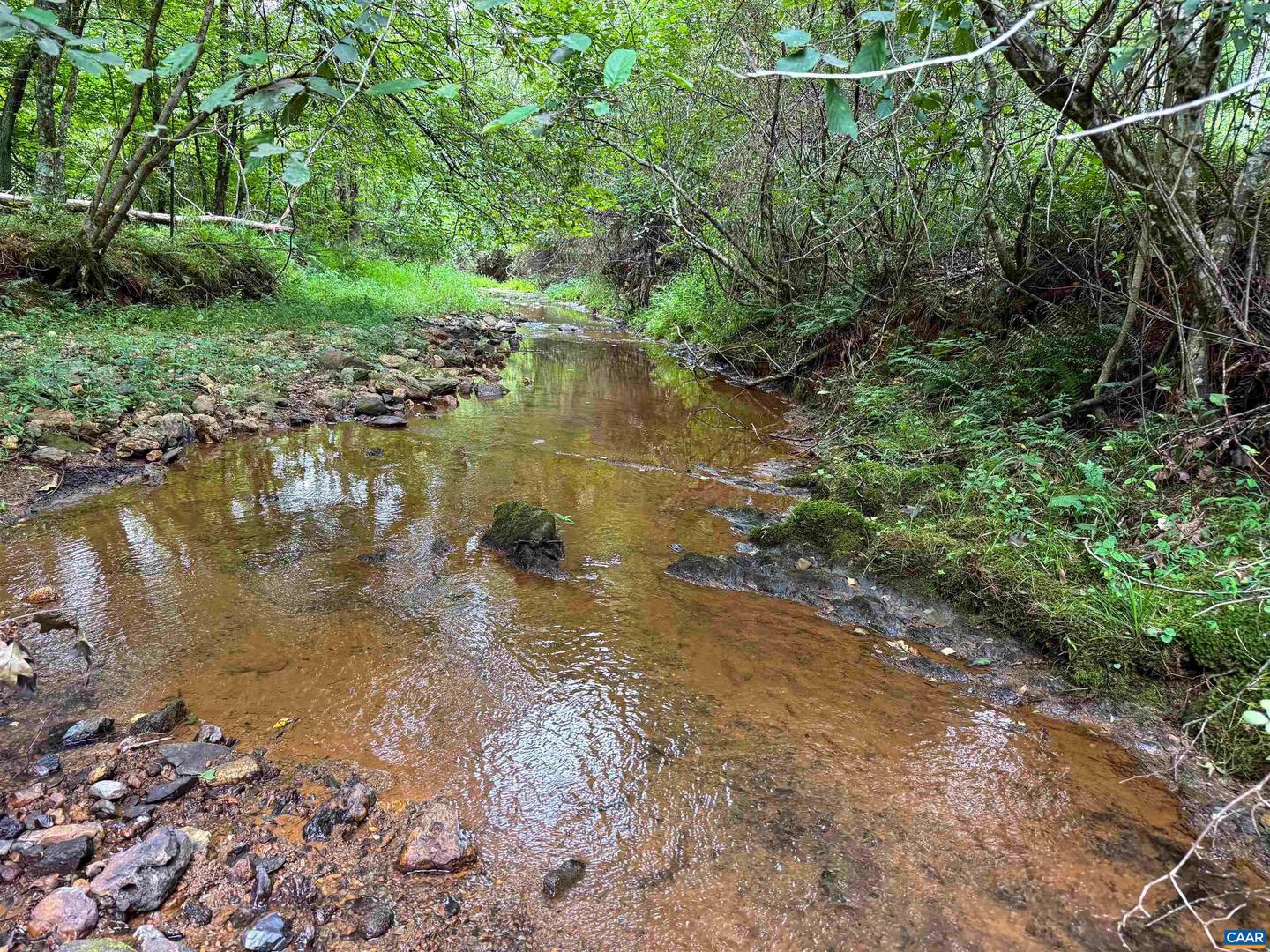 TBA OLD GREEN MOUNTAIN RD #00500, ESMONT, Virginia 22937, ,Farm,For Sale,TBA OLD GREEN MOUNTAIN RD #00500,668925 MLS # 668925 TBA OLD GREEN MOUNTAIN RD #00500, ESMONT, Virginia 22937, ,Farm,For Sale,TBA OLD GREEN MOUNTAIN RD #00500,668925 MLS # 668925