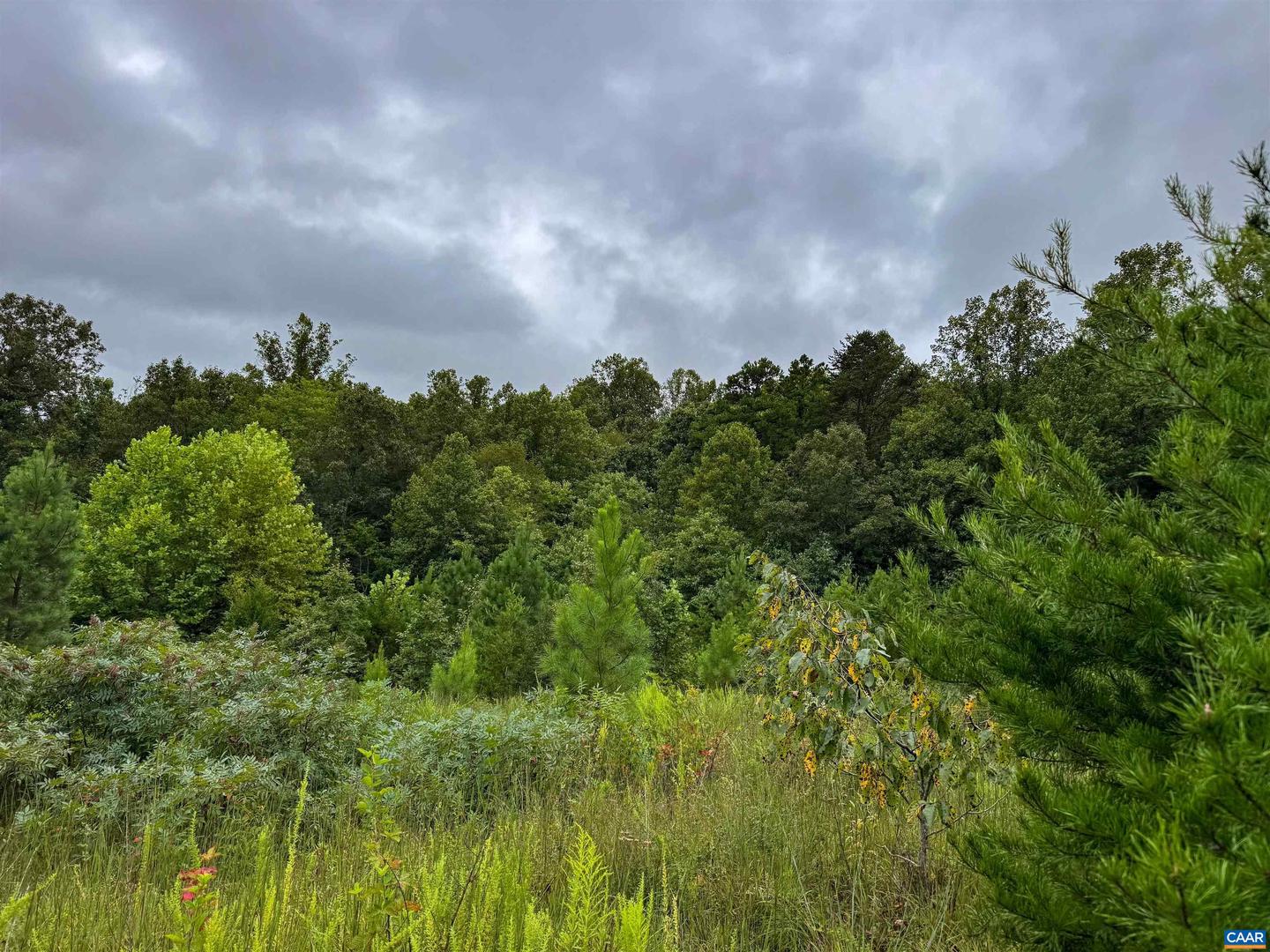 TBA OLD GREEN MOUNTAIN RD #00500, ESMONT, Virginia 22937, ,Farm,For Sale,TBA OLD GREEN MOUNTAIN RD #00500,668925 MLS # 668925 TBA OLD GREEN MOUNTAIN RD #00500, ESMONT, Virginia 22937, ,Farm,For Sale,TBA OLD GREEN MOUNTAIN RD #00500,668925 MLS # 668925