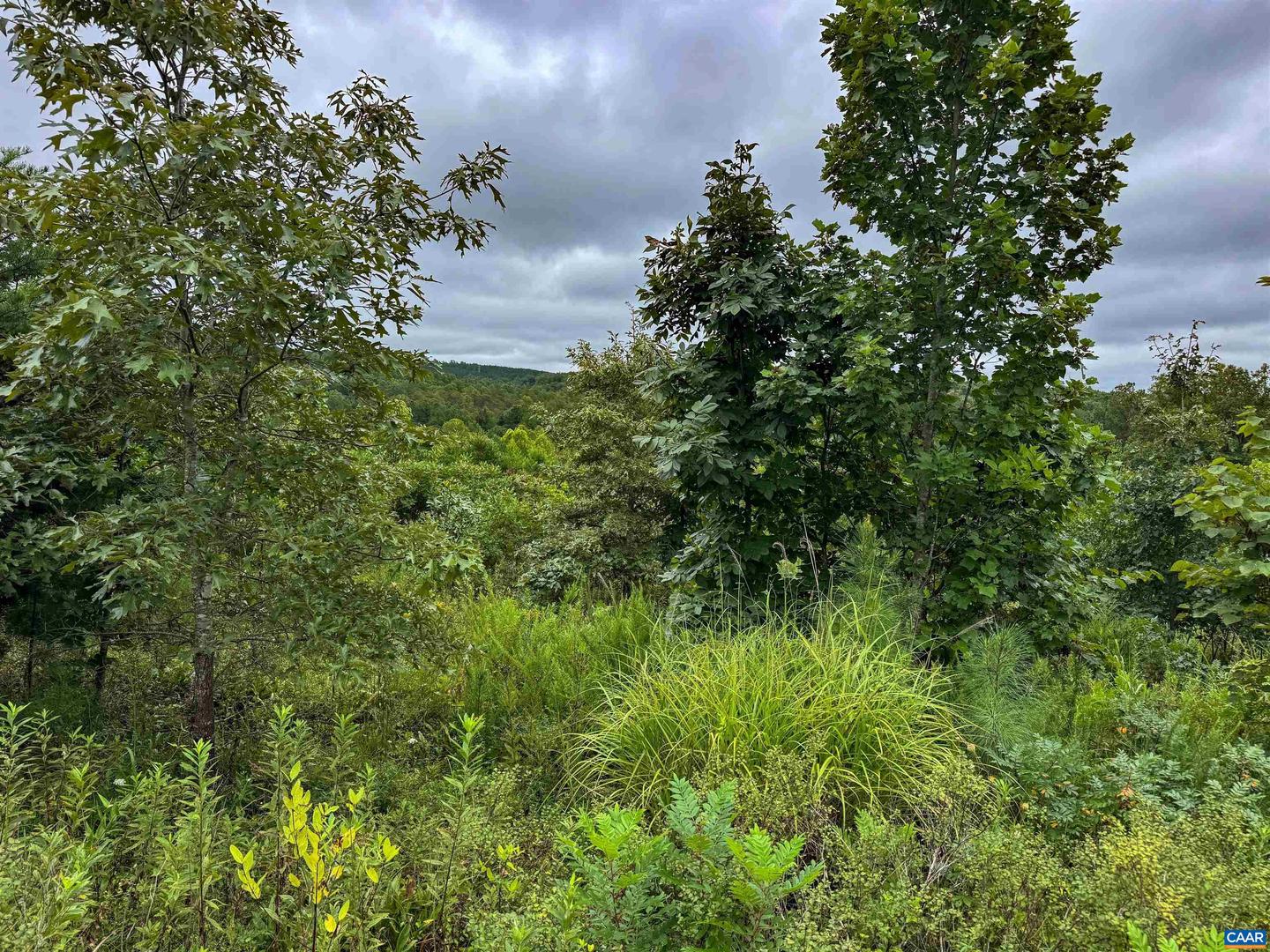 TBA OLD GREEN MOUNTAIN RD #00500, ESMONT, Virginia 22937, ,Farm,For Sale,TBA OLD GREEN MOUNTAIN RD #00500,668925 MLS # 668925 TBA OLD GREEN MOUNTAIN RD #00500, ESMONT, Virginia 22937, ,Farm,For Sale,TBA OLD GREEN MOUNTAIN RD #00500,668925 MLS # 668925