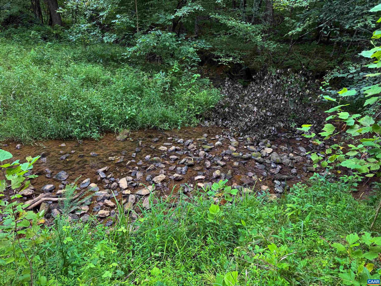 TBA OLD GREEN MOUNTAIN RD #00500, ESMONT, Virginia 22937, ,Farm,For Sale,TBA OLD GREEN MOUNTAIN RD #00500,668925 MLS # 668925 TBA OLD GREEN MOUNTAIN RD #00500, ESMONT, Virginia 22937, ,Farm,For Sale,TBA OLD GREEN MOUNTAIN RD #00500,668925 MLS # 668925