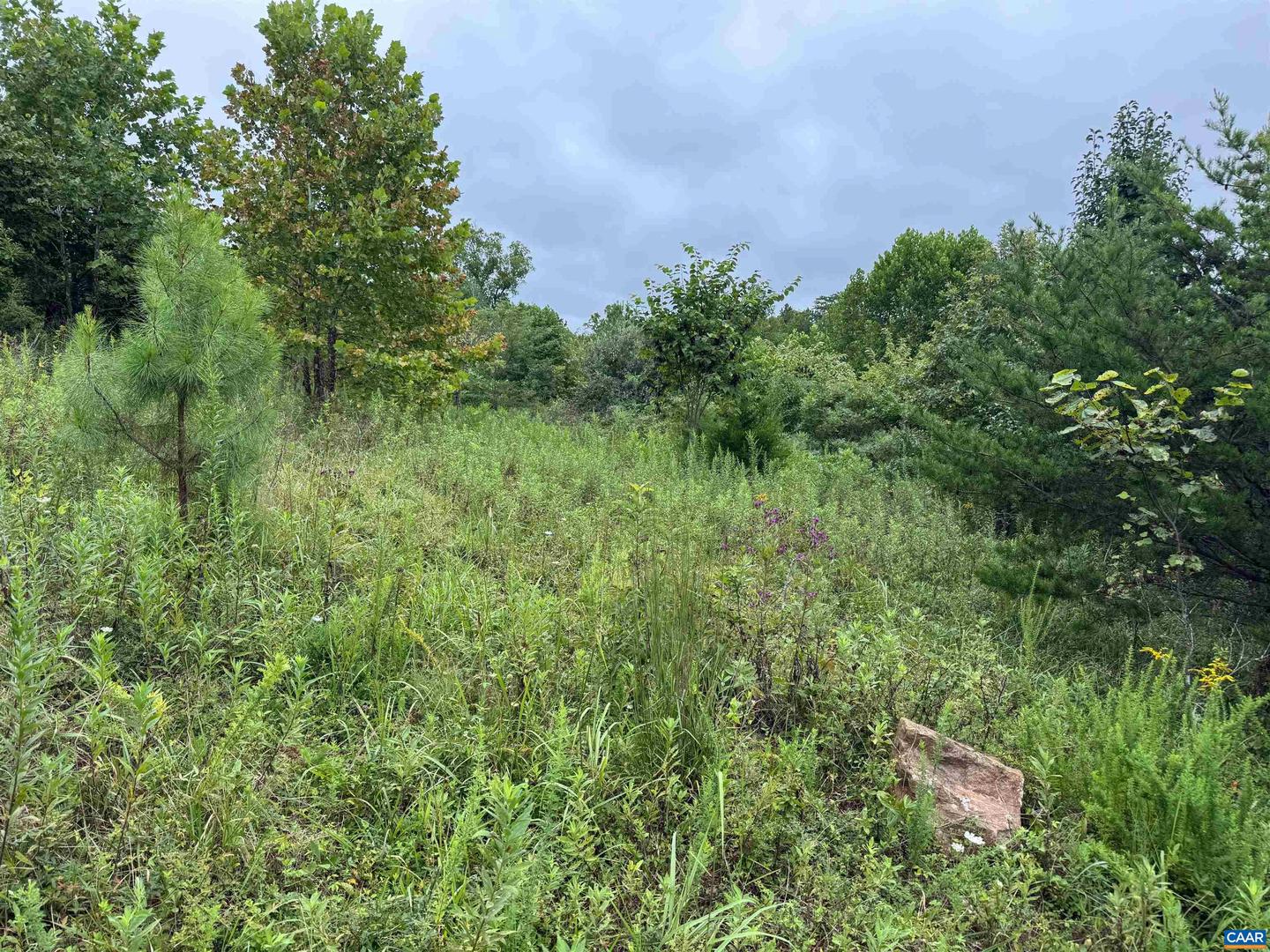 TBA OLD GREEN MOUNTAIN RD #00500, ESMONT, Virginia 22937, ,Farm,For Sale,TBA OLD GREEN MOUNTAIN RD #00500,668925 MLS # 668925 TBA OLD GREEN MOUNTAIN RD #00500, ESMONT, Virginia 22937, ,Farm,For Sale,TBA OLD GREEN MOUNTAIN RD #00500,668925 MLS # 668925