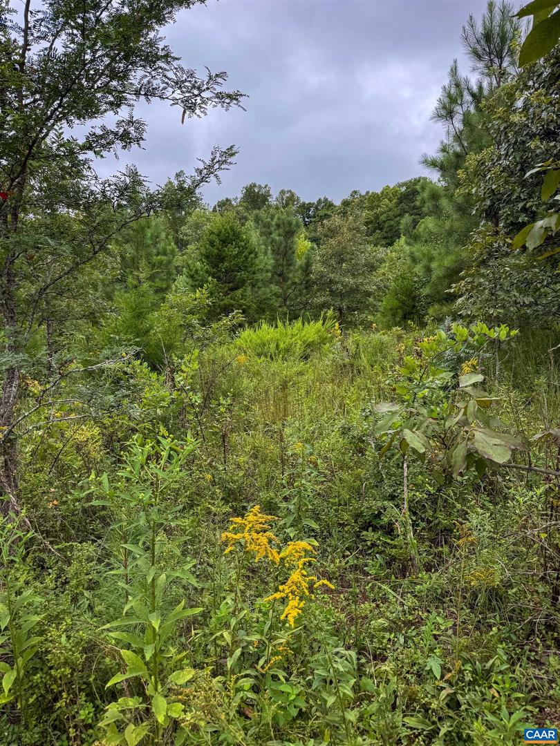 TBA OLD GREEN MOUNTAIN RD #00500, ESMONT, Virginia 22937, ,Farm,For Sale,TBA OLD GREEN MOUNTAIN RD #00500,668925 MLS # 668925 TBA OLD GREEN MOUNTAIN RD #00500, ESMONT, Virginia 22937, ,Farm,For Sale,TBA OLD GREEN MOUNTAIN RD #00500,668925 MLS # 668925
