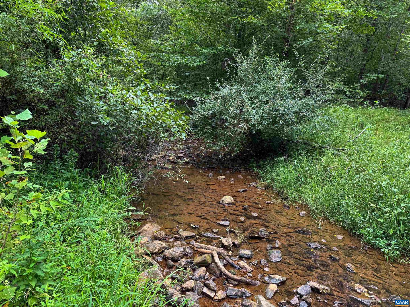 TBA OLD GREEN MOUNTAIN RD #00500, ESMONT, Virginia 22937, ,Farm,For Sale,TBA OLD GREEN MOUNTAIN RD #00500,668925 MLS # 668925 TBA OLD GREEN MOUNTAIN RD #00500, ESMONT, Virginia 22937, ,Farm,For Sale,TBA OLD GREEN MOUNTAIN RD #00500,668925 MLS # 668925