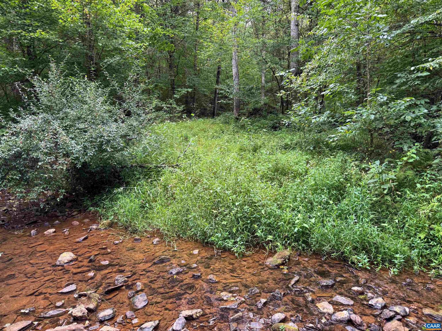 TBA OLD GREEN MOUNTAIN RD #00500, ESMONT, Virginia 22937, ,Farm,For Sale,TBA OLD GREEN MOUNTAIN RD #00500,668925 MLS # 668925 TBA OLD GREEN MOUNTAIN RD #00500, ESMONT, Virginia 22937, ,Farm,For Sale,TBA OLD GREEN MOUNTAIN RD #00500,668925 MLS # 668925